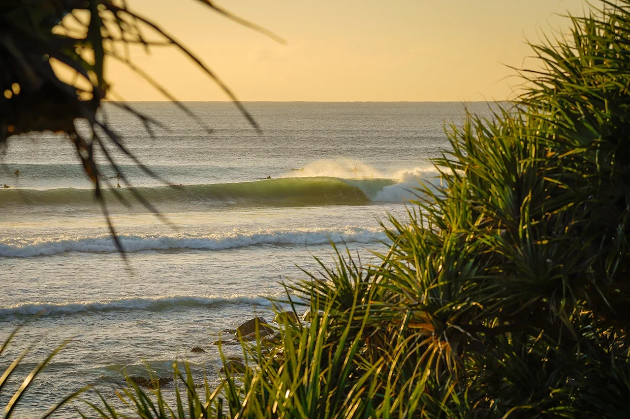 shs-burleigh-head-31-photo.webp