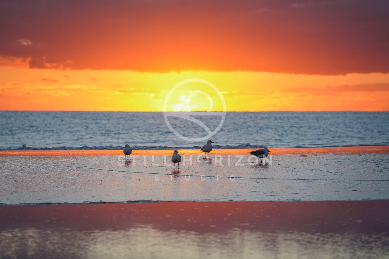 Sunrise Stock Photo 18