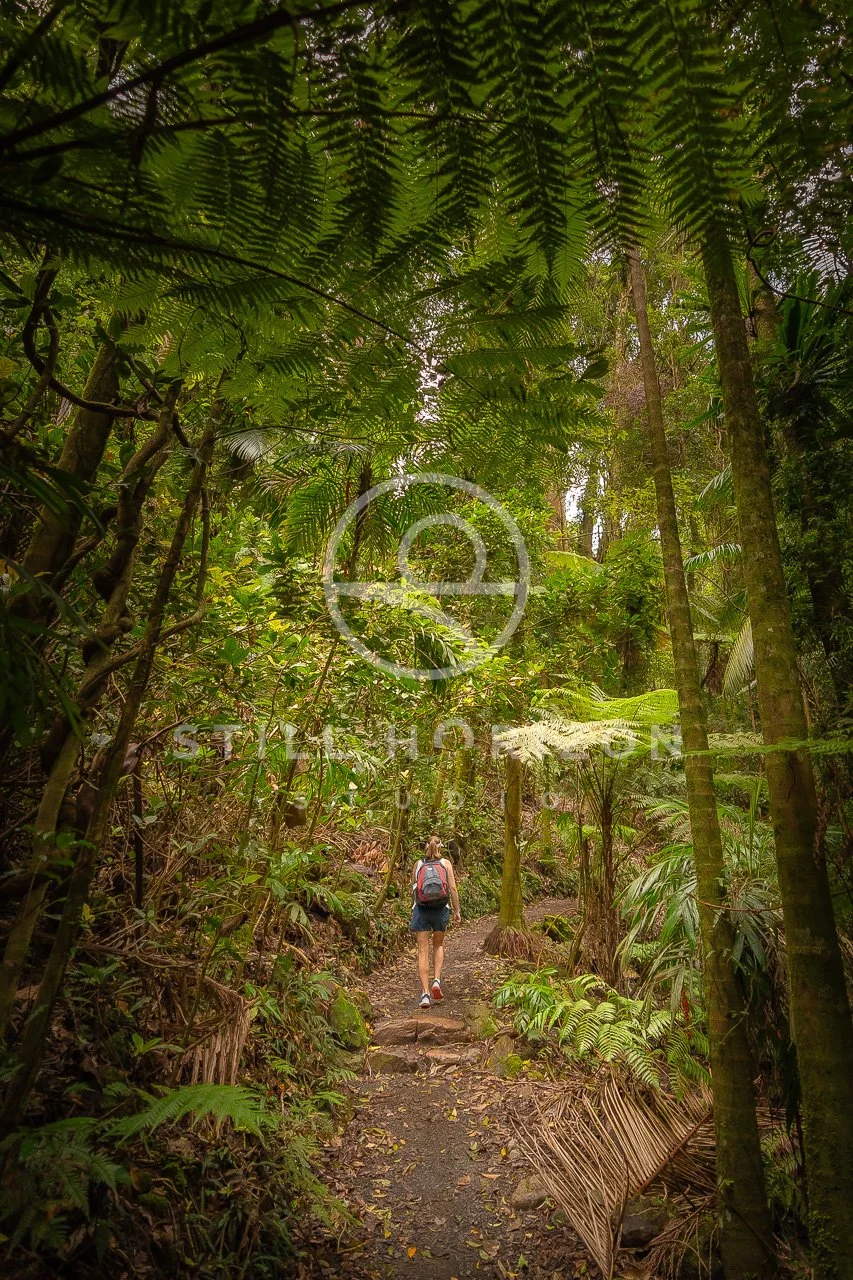 Twin Falls Stock Photo 24