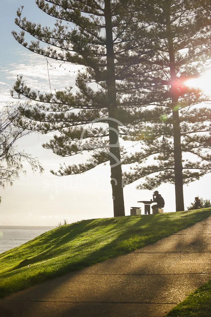 Burleigh Head Stock Photo 23