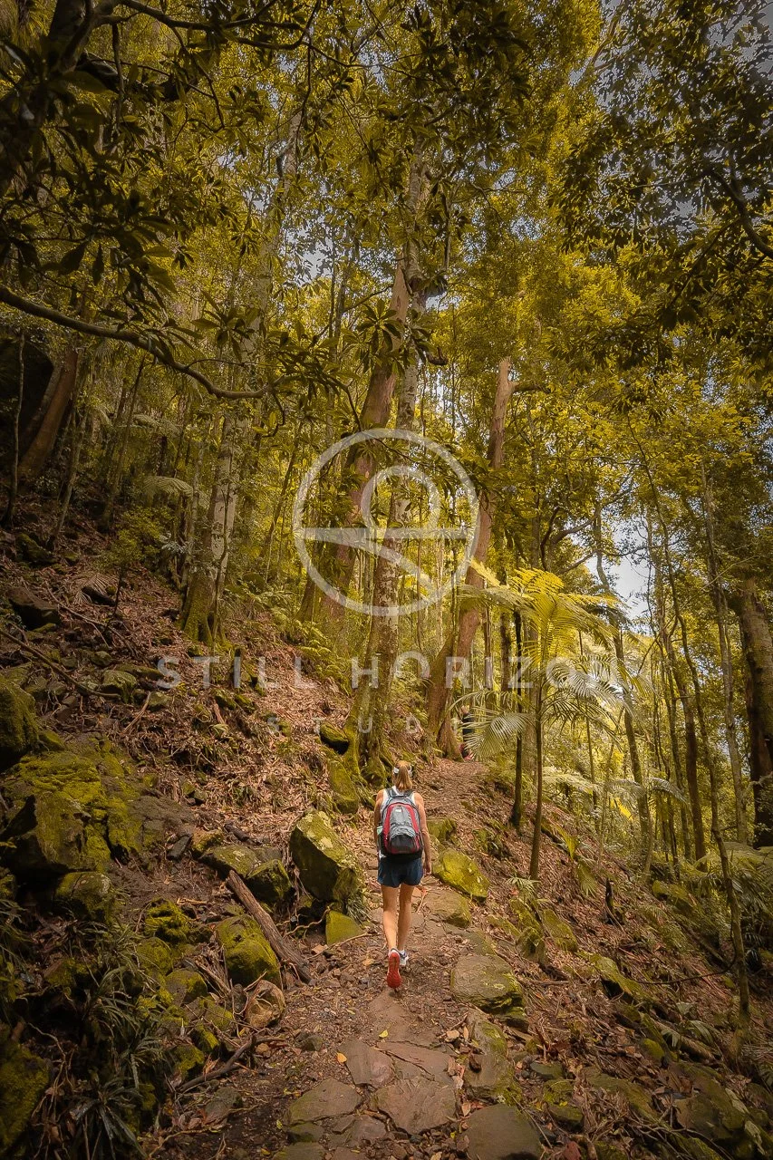 Twin Falls Stock Photo 13