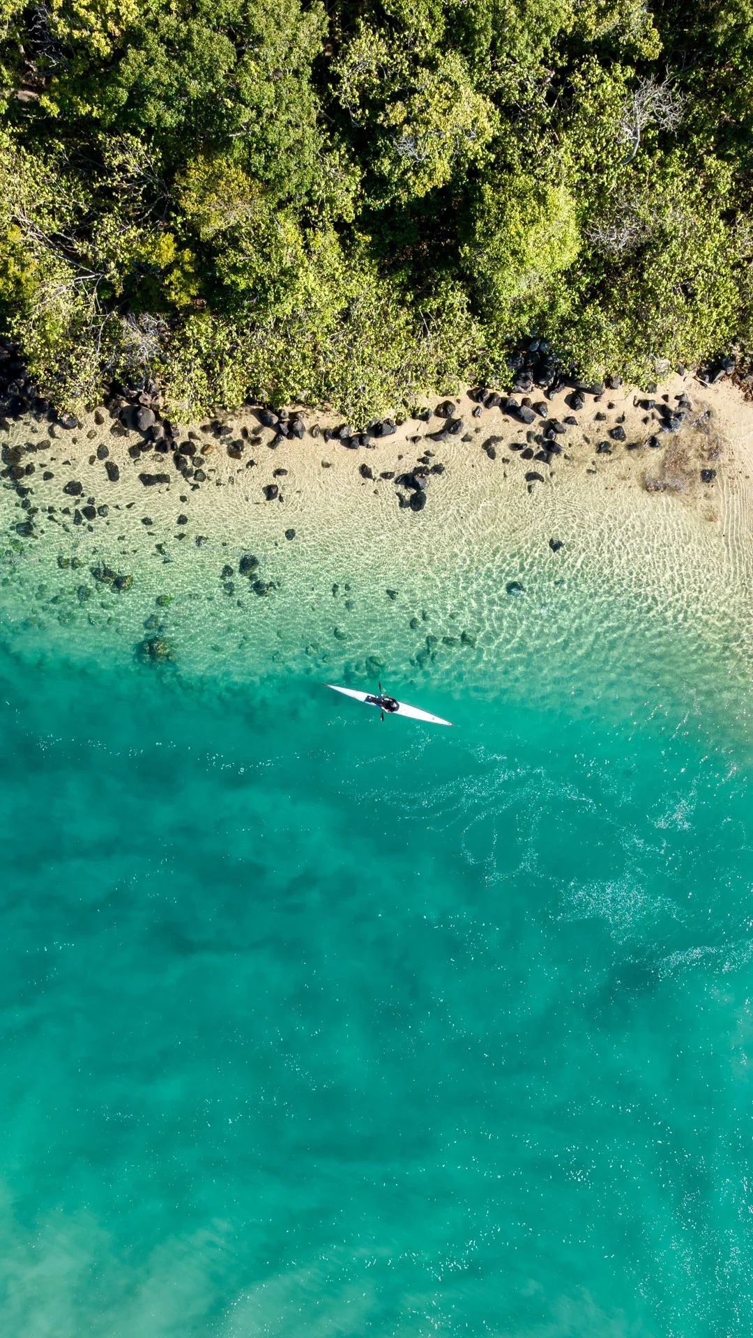 Top down aerial image of a surf ski paddling on beautiful Tallebudgera Creek.