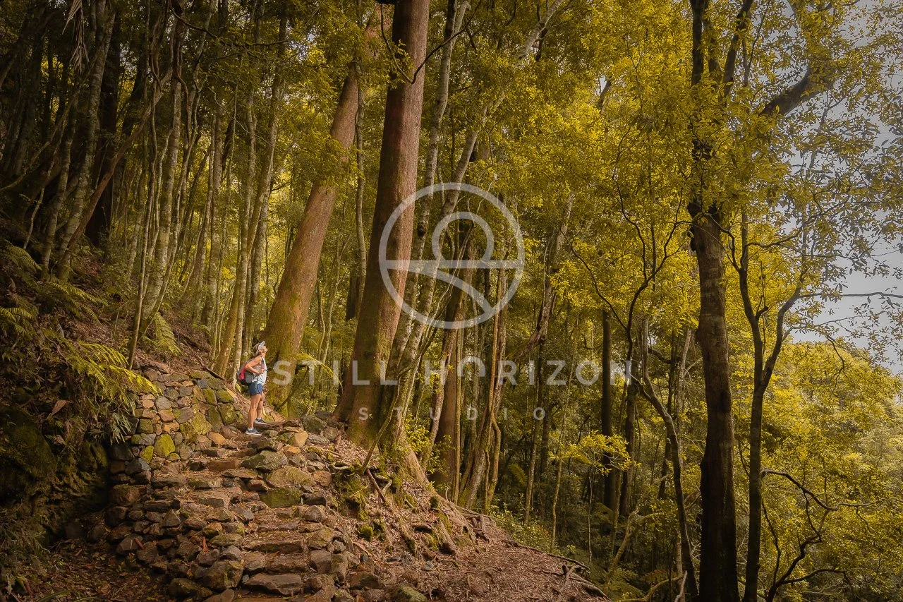 Twin Falls Stock Photo 12