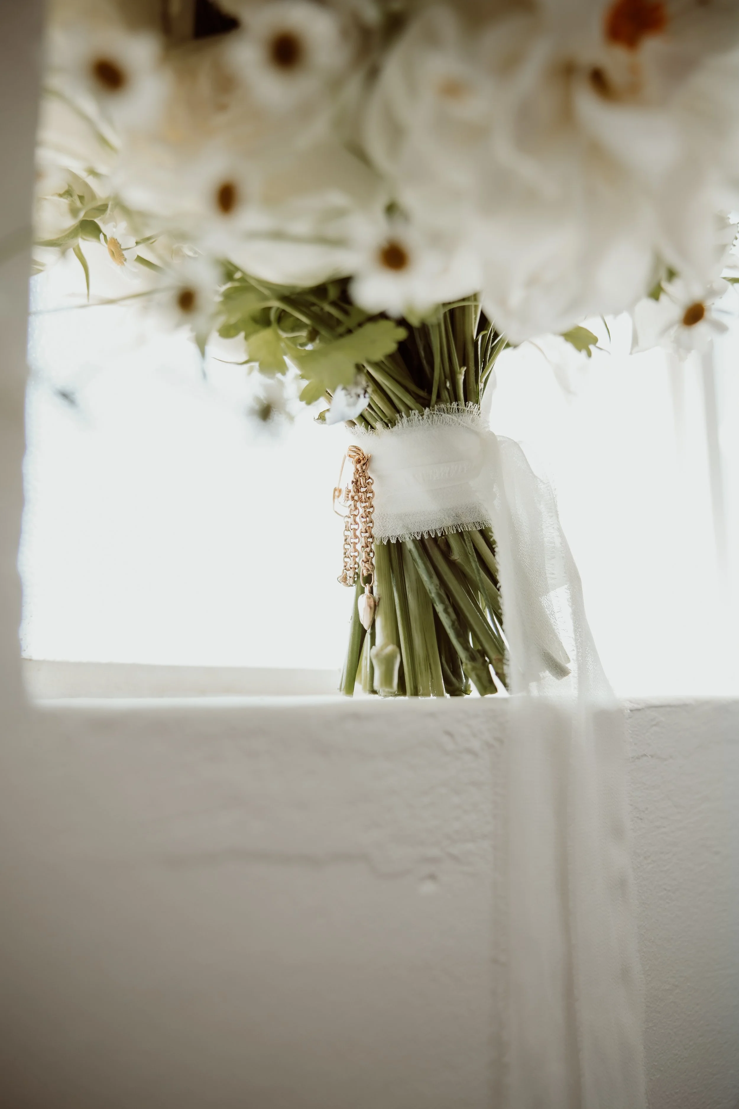 Peta Hill Photography