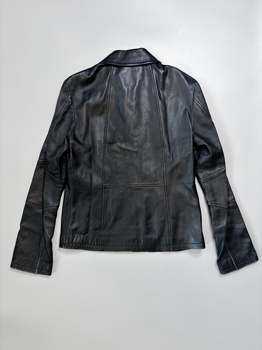 maccoleatherback.png