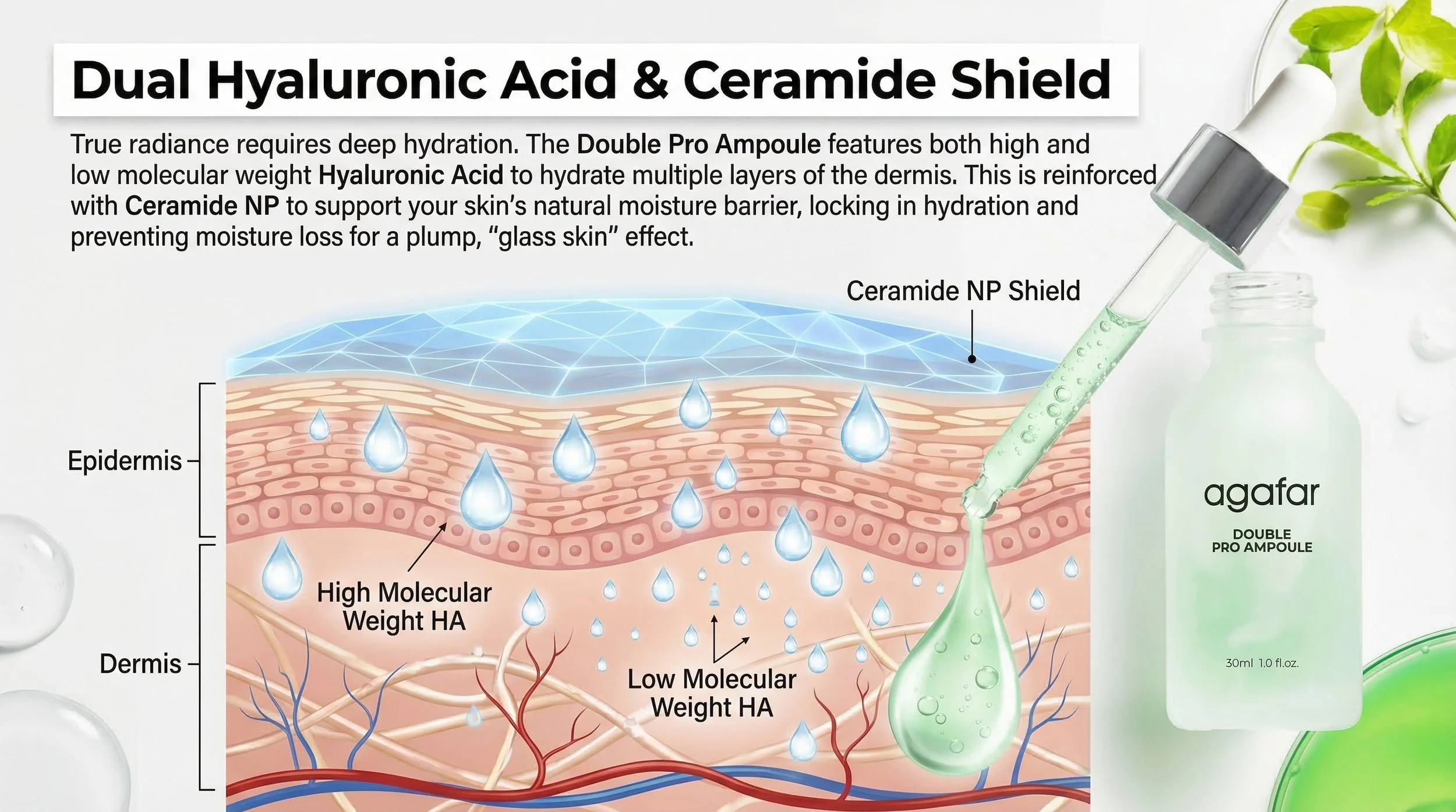 Hyaluronic acid serum face, Ceramide moisturize, skin barrier repair support, plump glass skin glow.