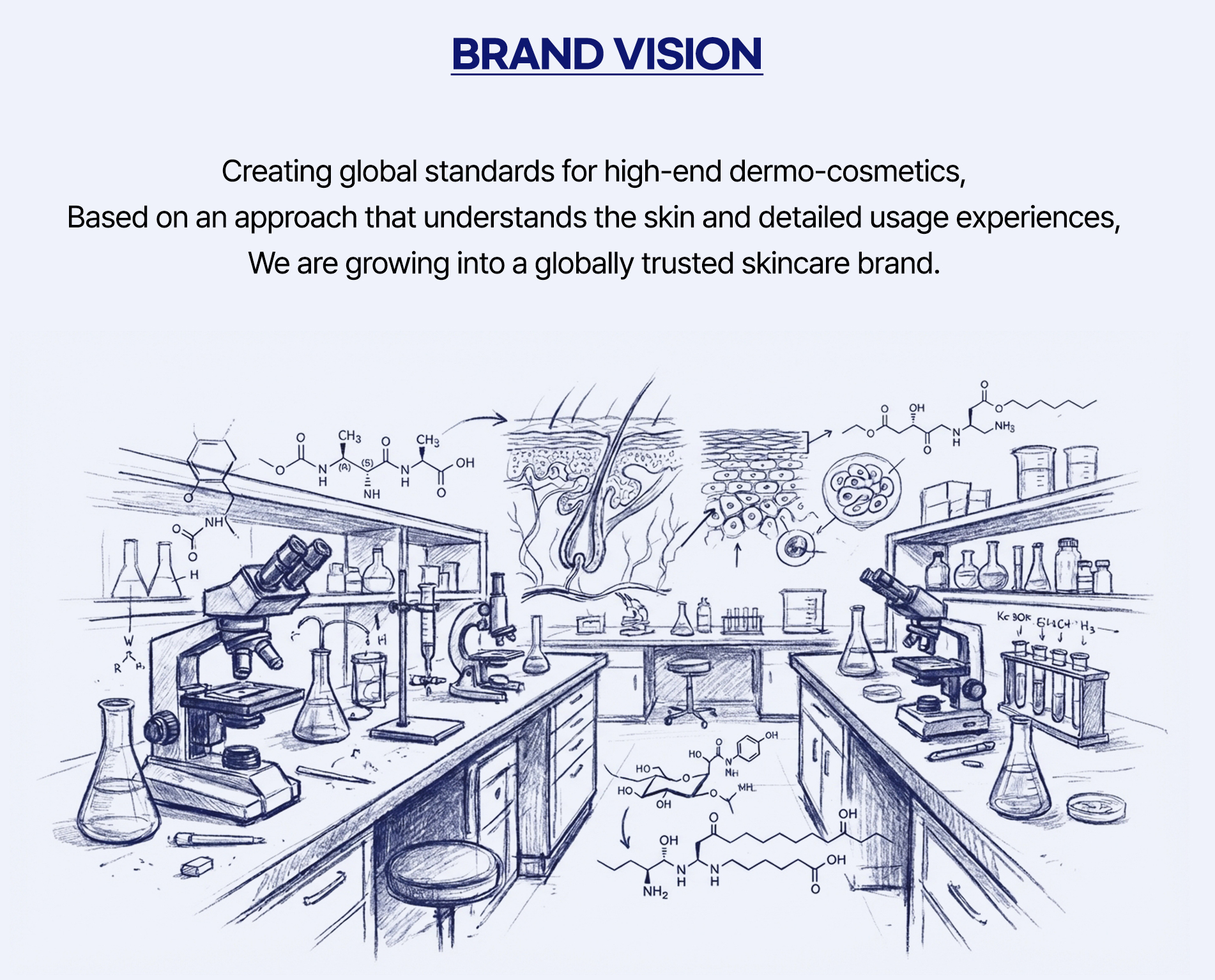 Text within image: BRAND VISION. Creating global standards for high-end dermo-cosmetics, Based on an approach that understands the skin and detailed usage experiences, We are growing into a globally trusted skincare brand. Illustrated by a detailed t