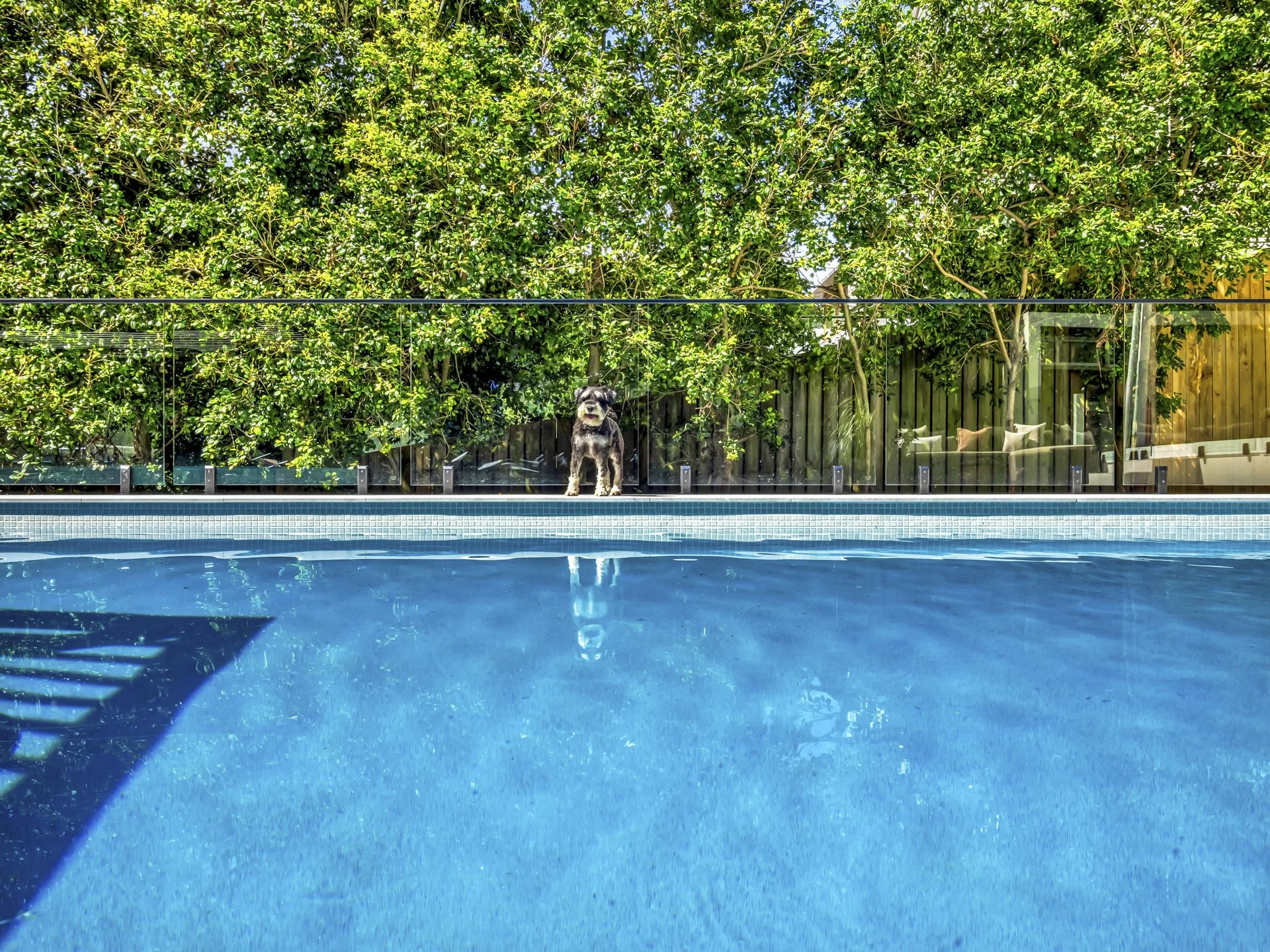 8 Praed St lo res-17.jpg