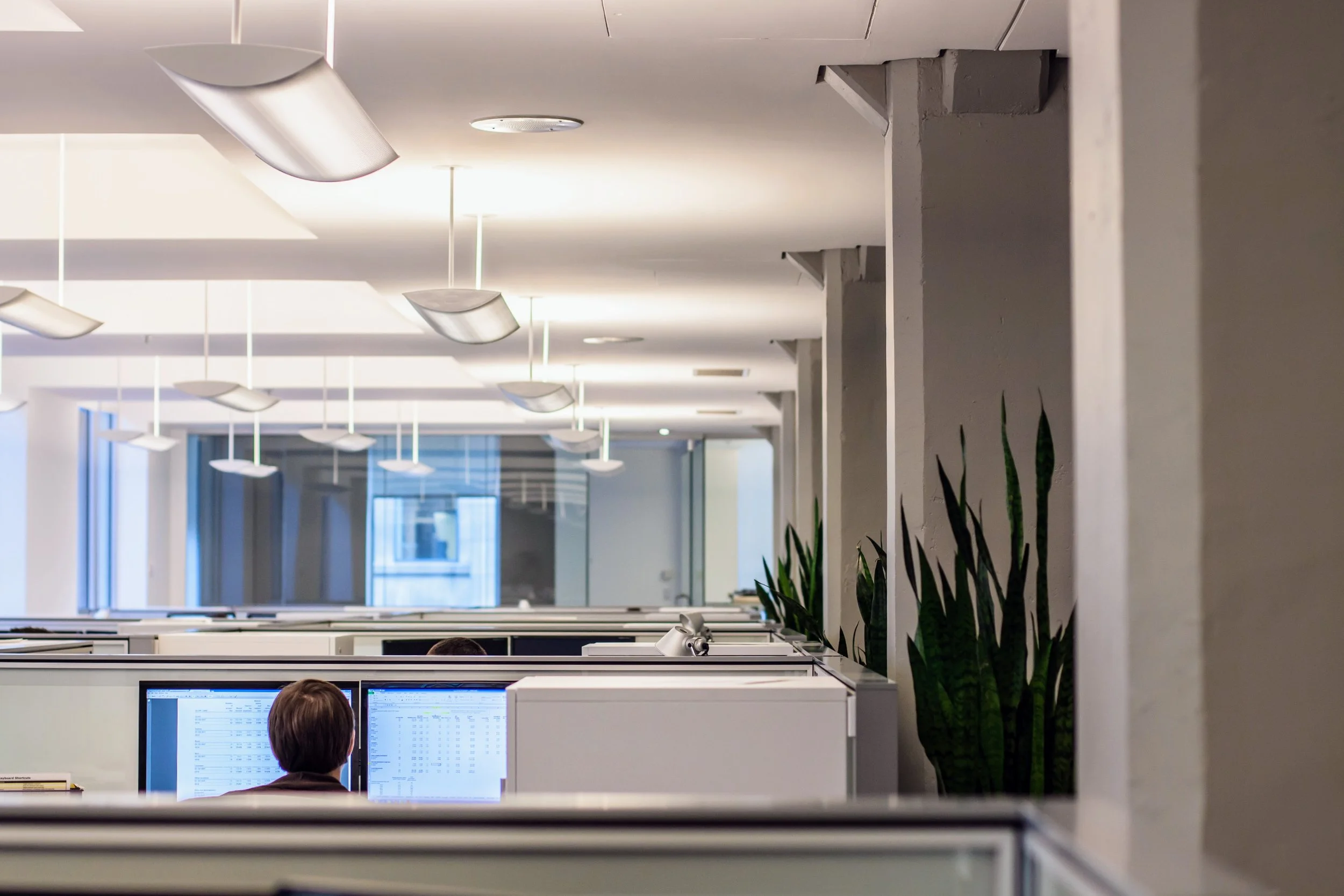 Interior view of an office with work cubicles, a person working at a computer, modern lighting, and plants on the partition walls.