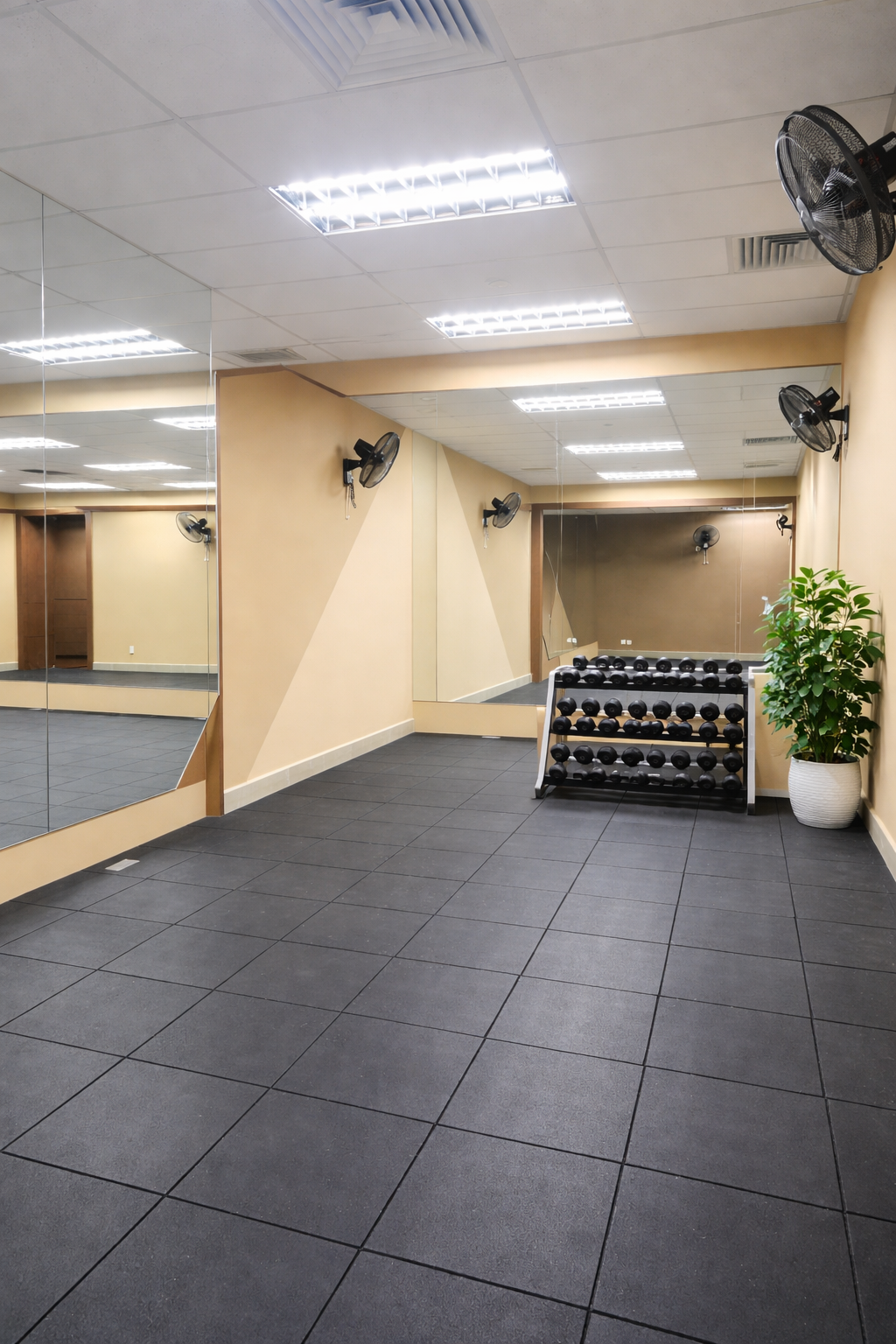 ChatGPT Image Jan 25, 2026, 11_23_27 AM.png