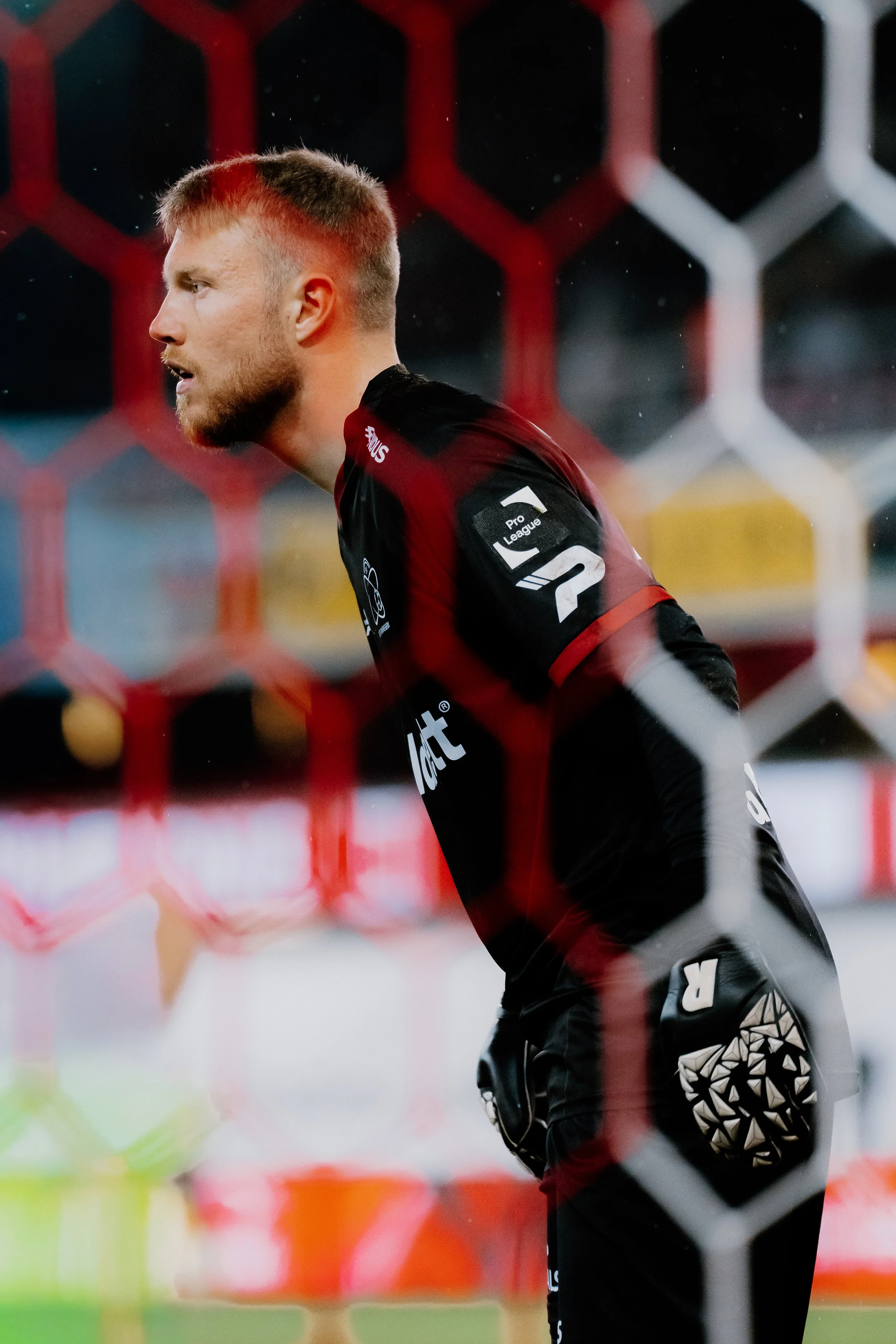 SV Zulte Waregem