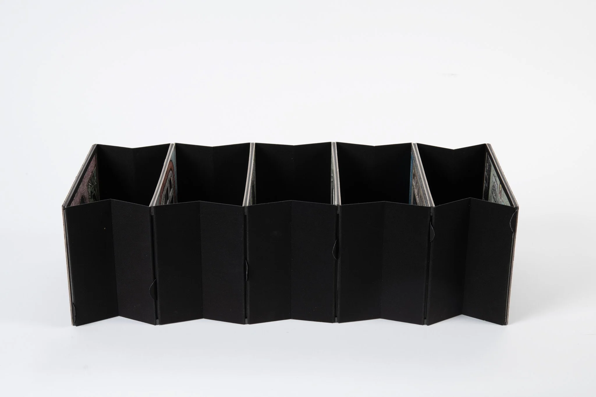 night tails website-16.jpg