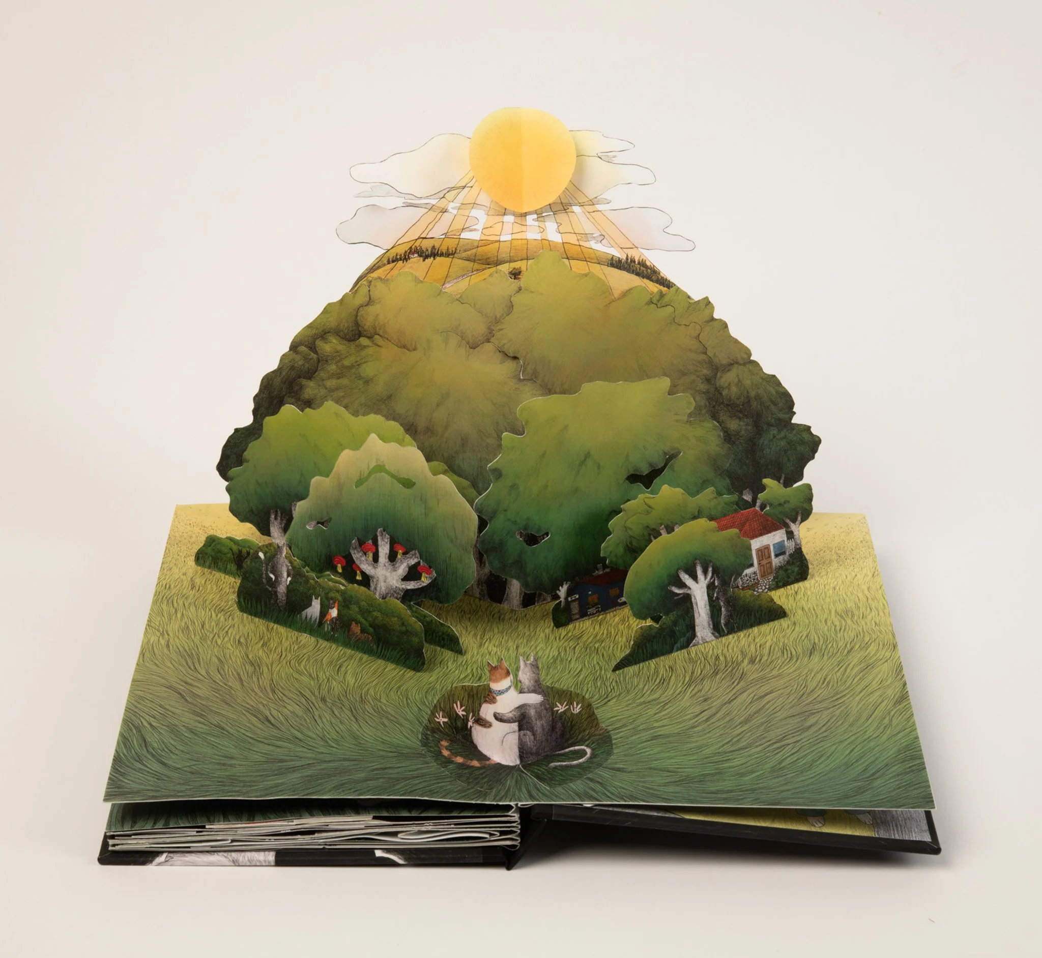 Watching the Sunrise