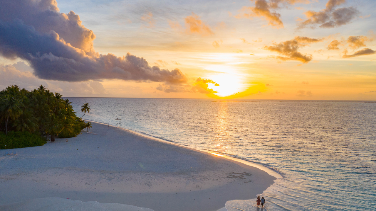 The Purpose and Meaning of My Life