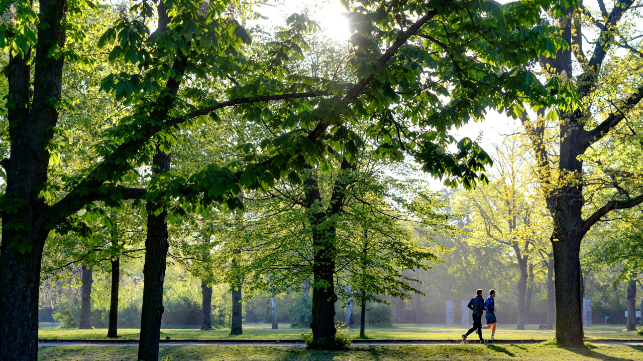 Listening To What I Ran From