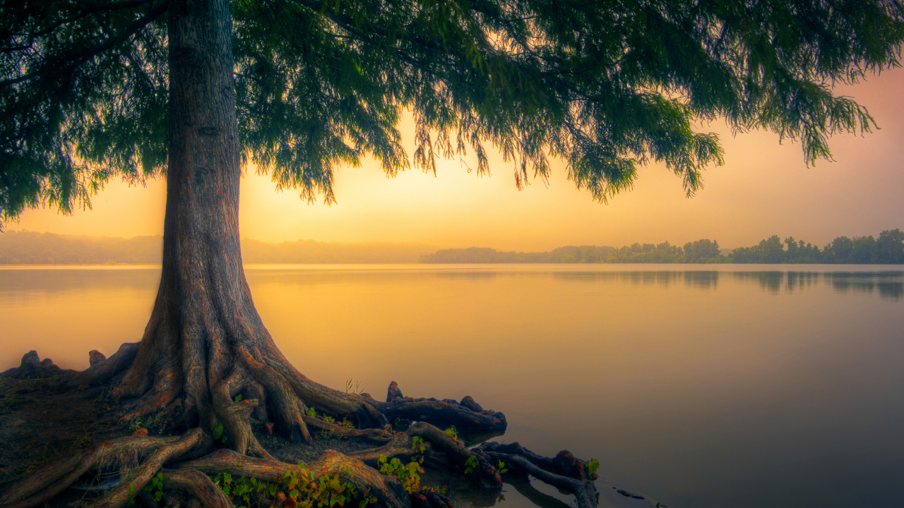 Being vs Doing: The Moment Life Finally Caught Up With Me