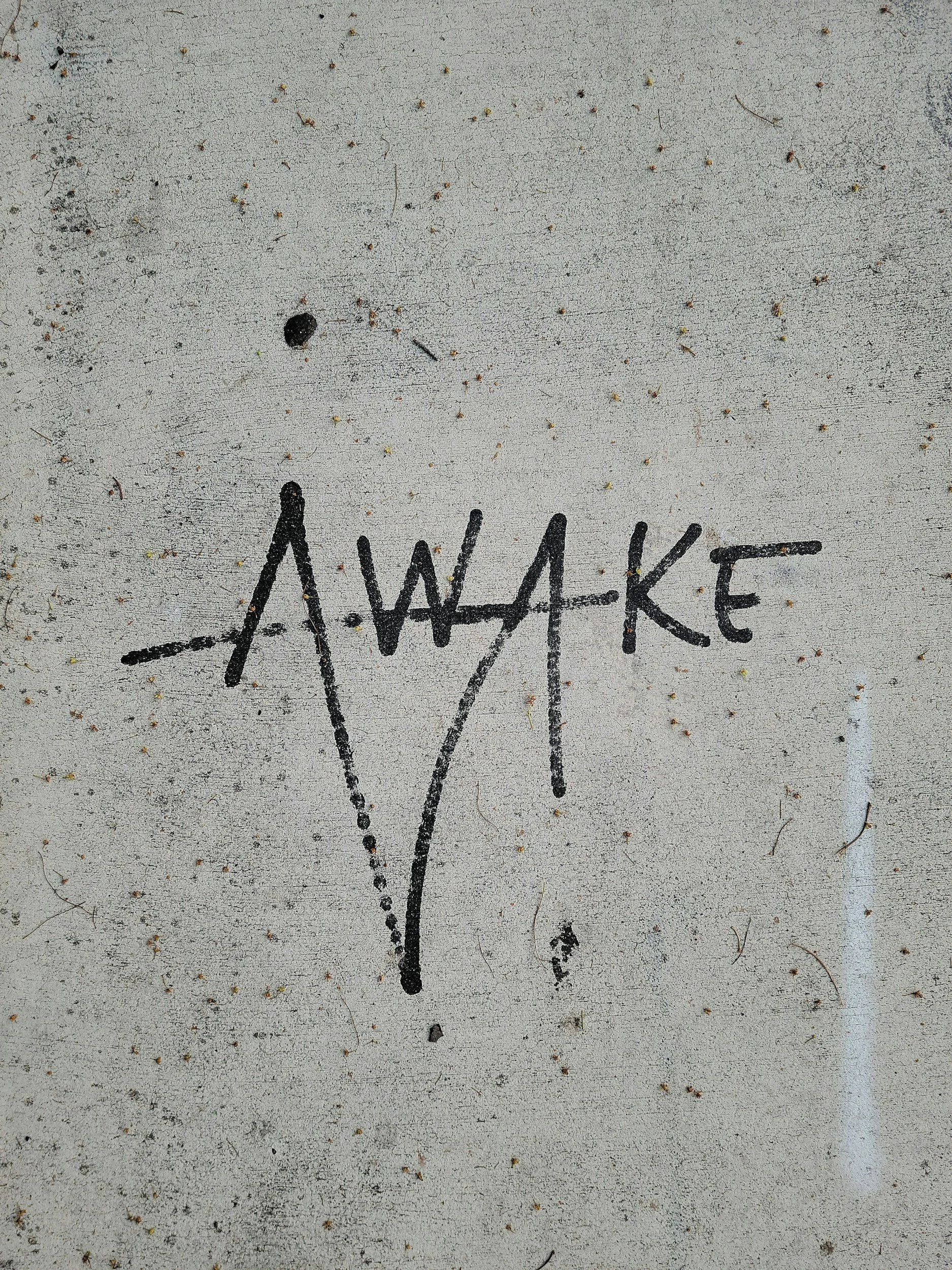 23 Days That Changed My Mind