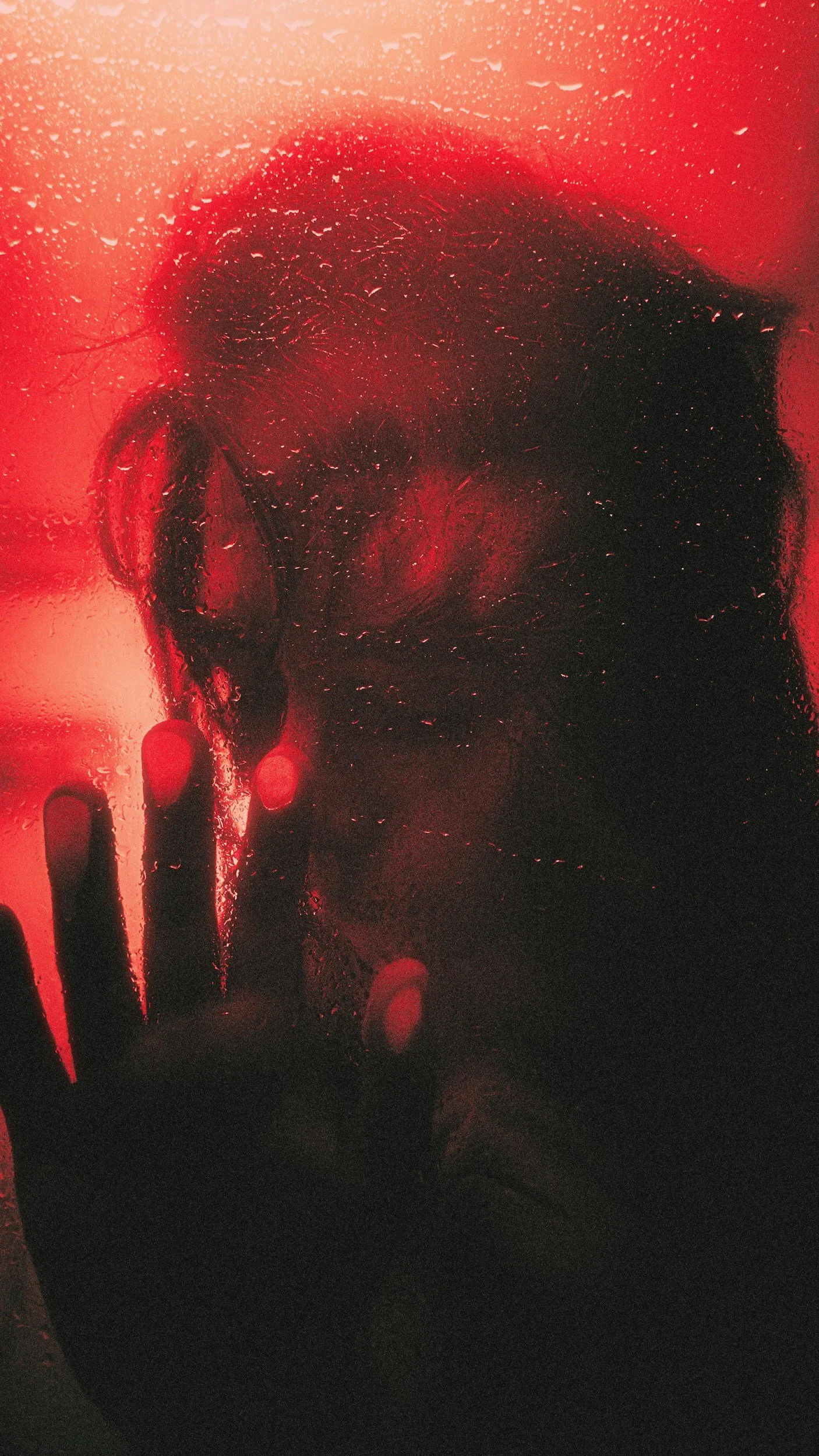 The Chinese Character for Crisis