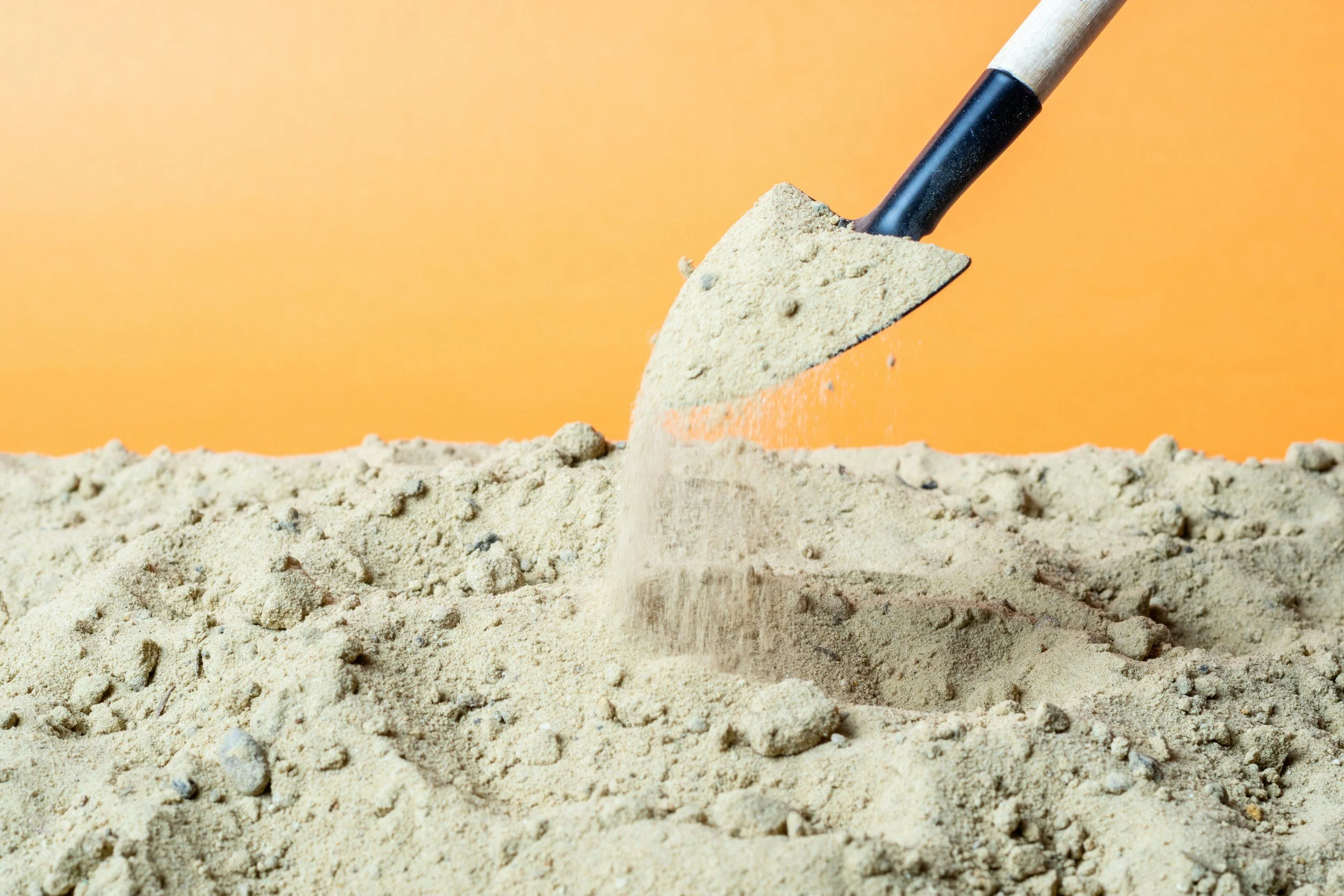 What You Bury Will Bury You