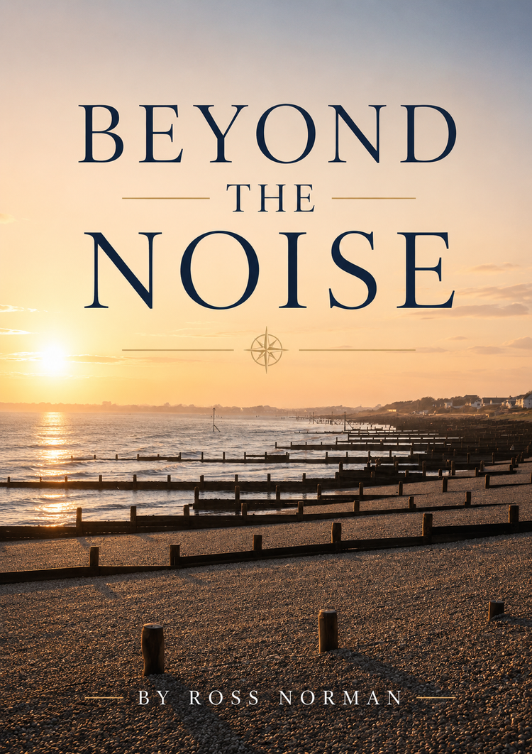 Beyond the Noise by Ross Norman — book cover