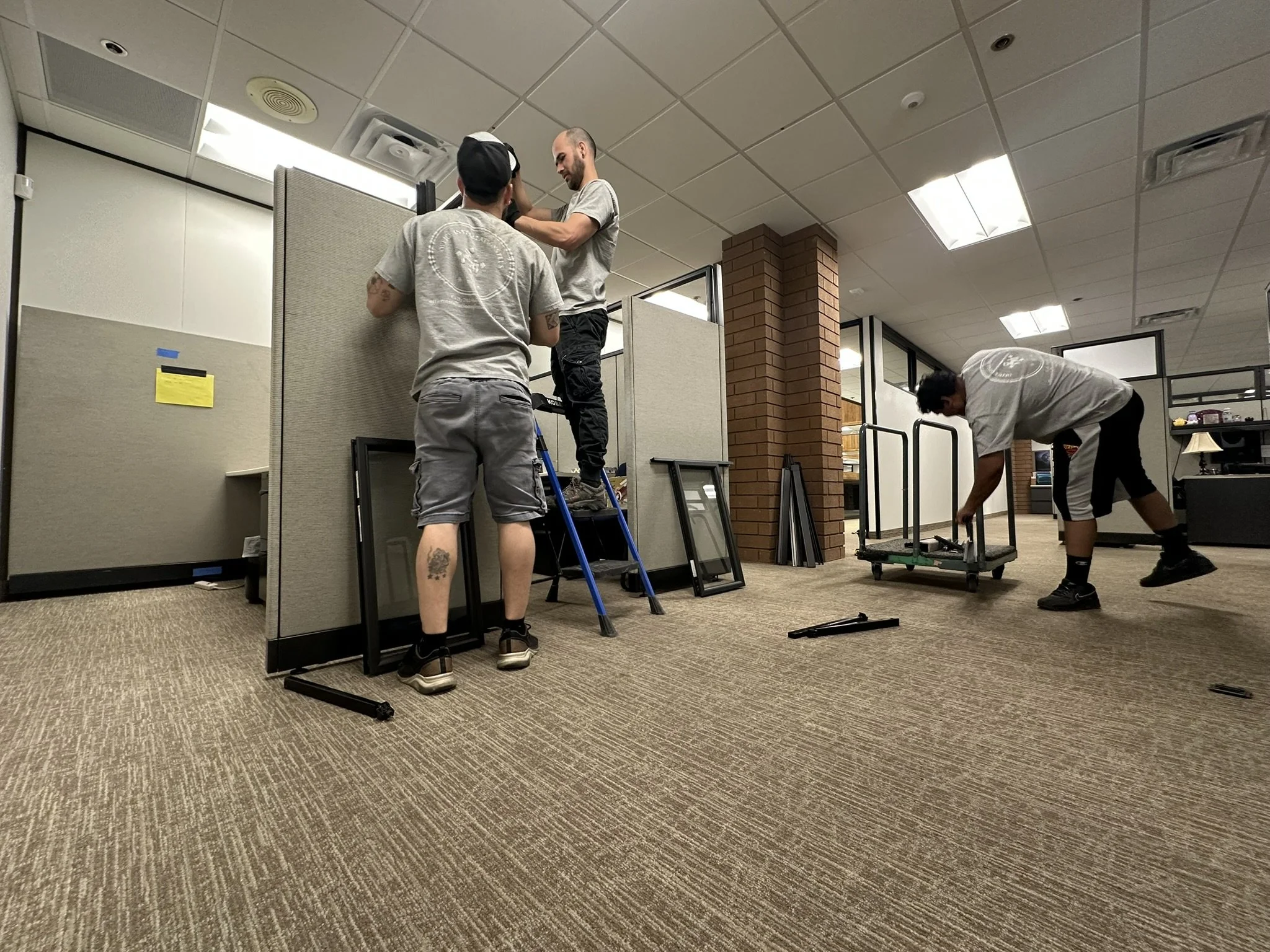 Office interior with white partitioned glass booths, a small table with a plant, and carpeted flooring.