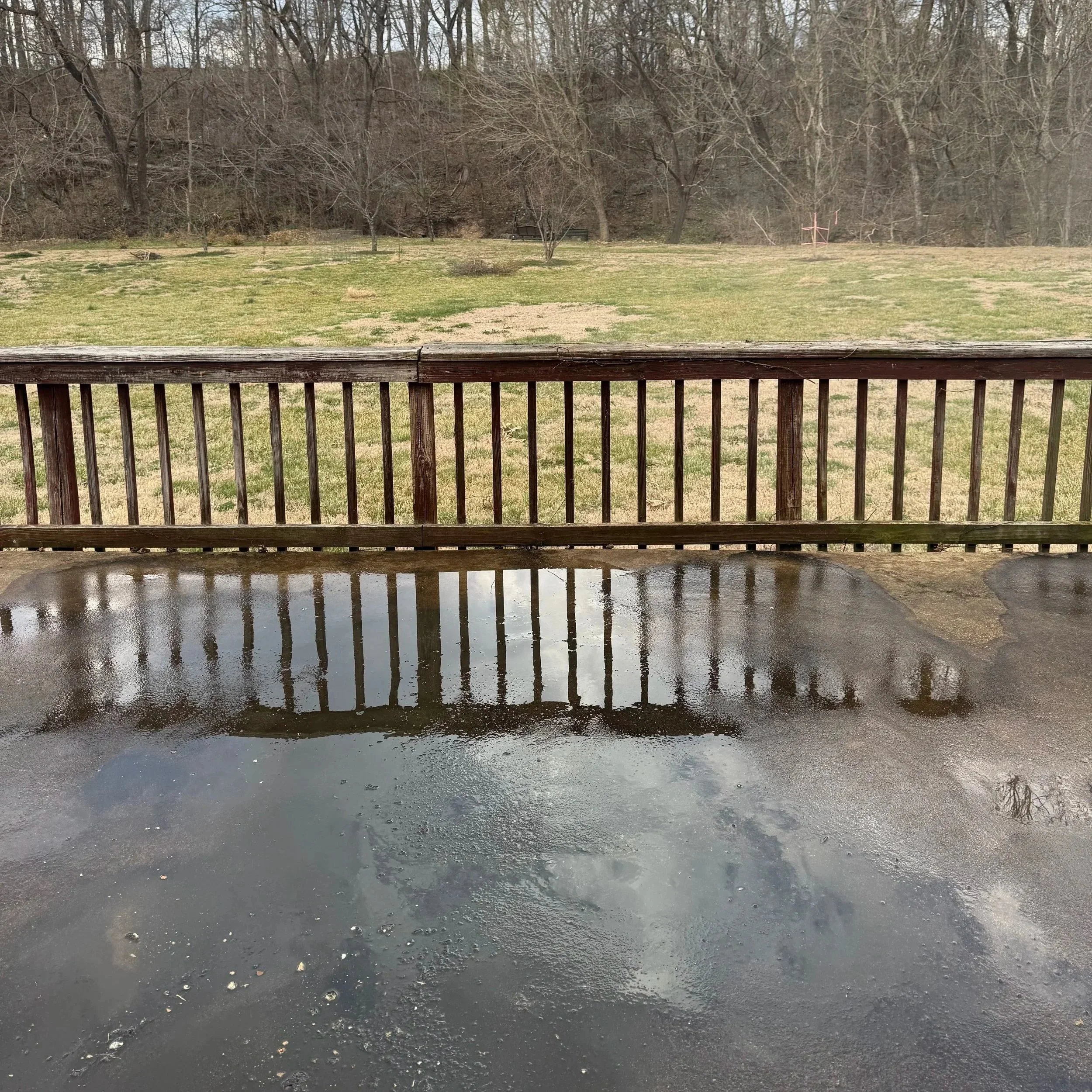 Wet concrete patio with a wooden railing and a large puddle reflecting the sky and fence. In the background, there is a grassy backyard with sparse trees and a wooded area beyond.