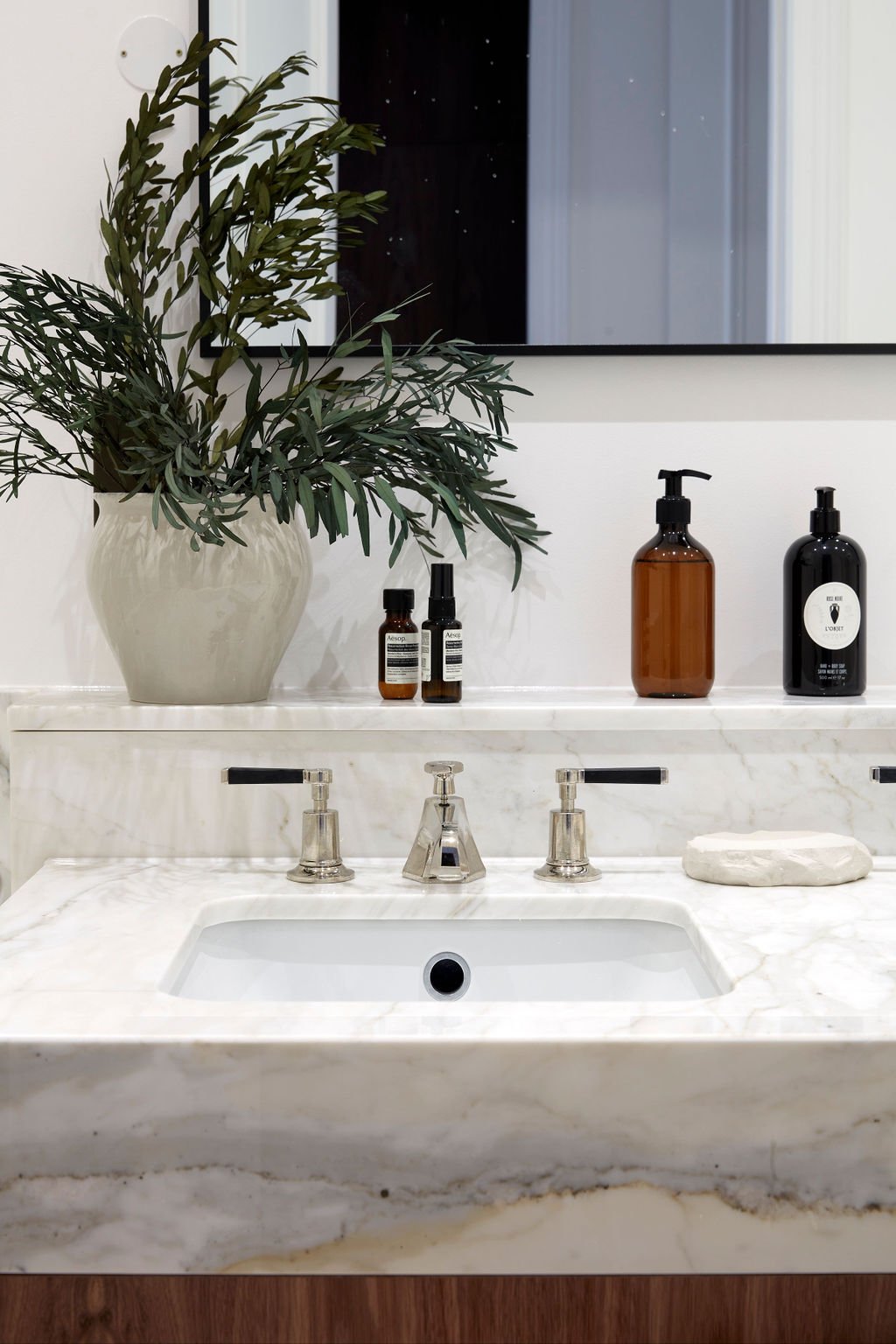 A bathroom sink with a marble countertop, a large potted green plant, various bottles of toiletries, and a mirror above the sink.
