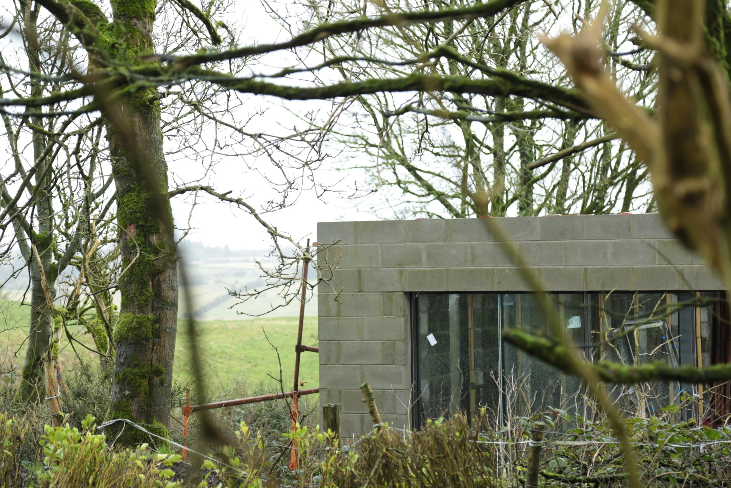 A partially built brick structure with large glass windows, surrounded by leafless trees and overgrown vegetation, in a rural or semi-rural setting.