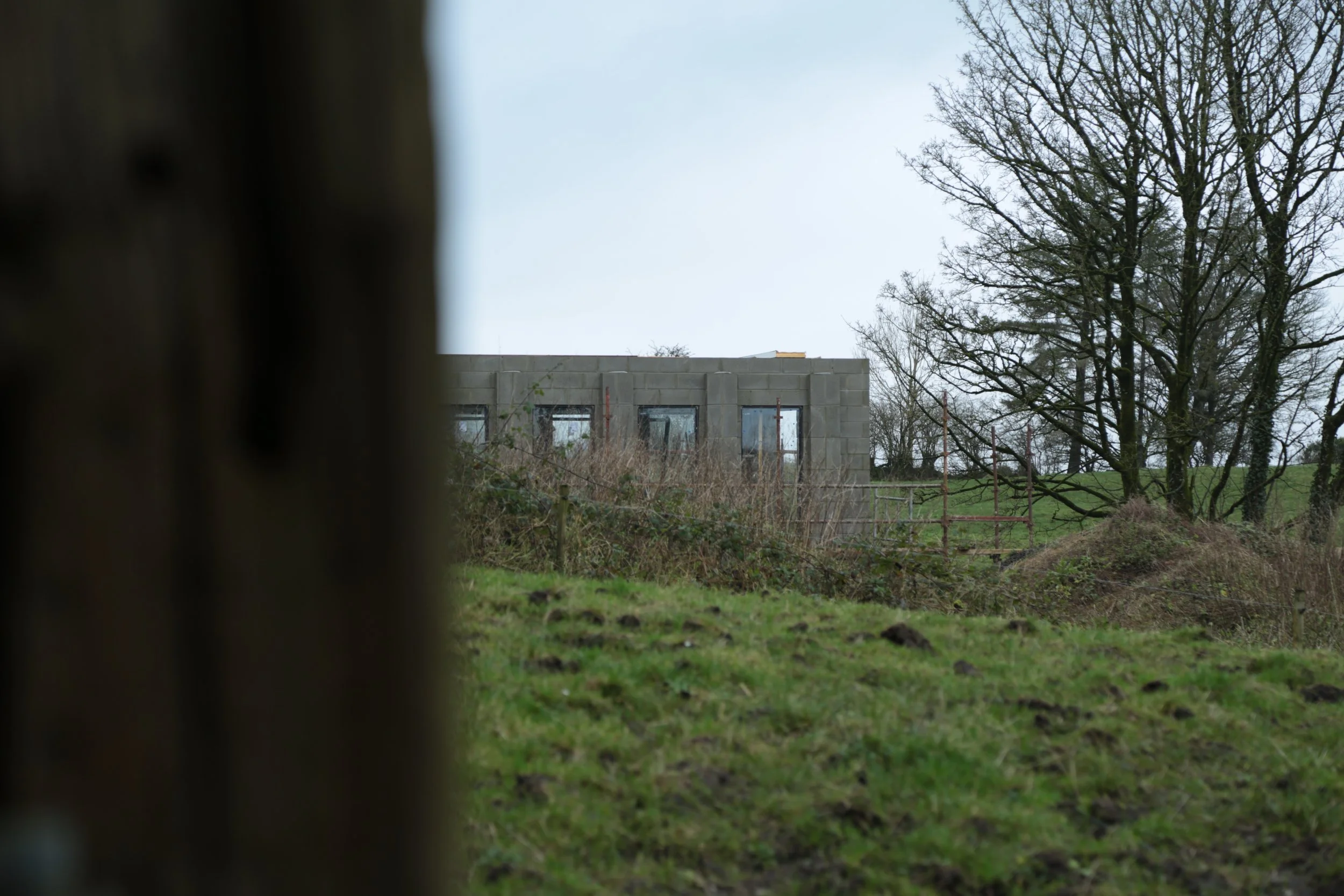 A partially constructed building seen through a gap in a wooden fence, with bare trees and green grass in the background.