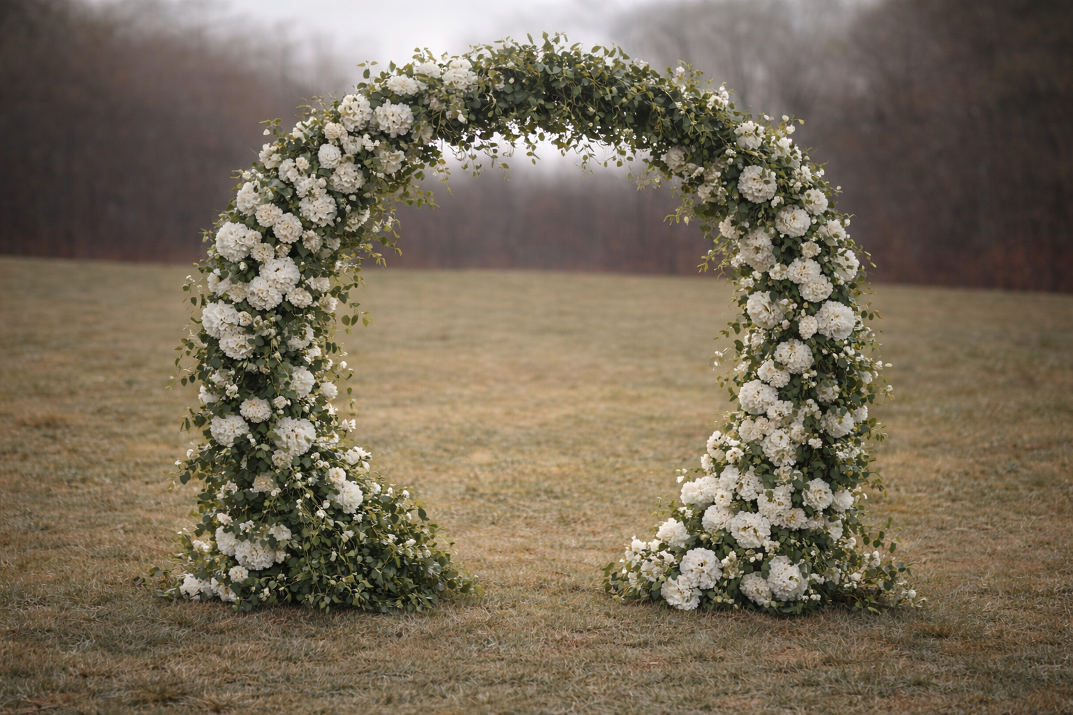 Demi Arch Scene -$550.00 to rent