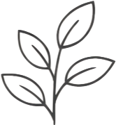 Simple line drawing of a plant with five leaves