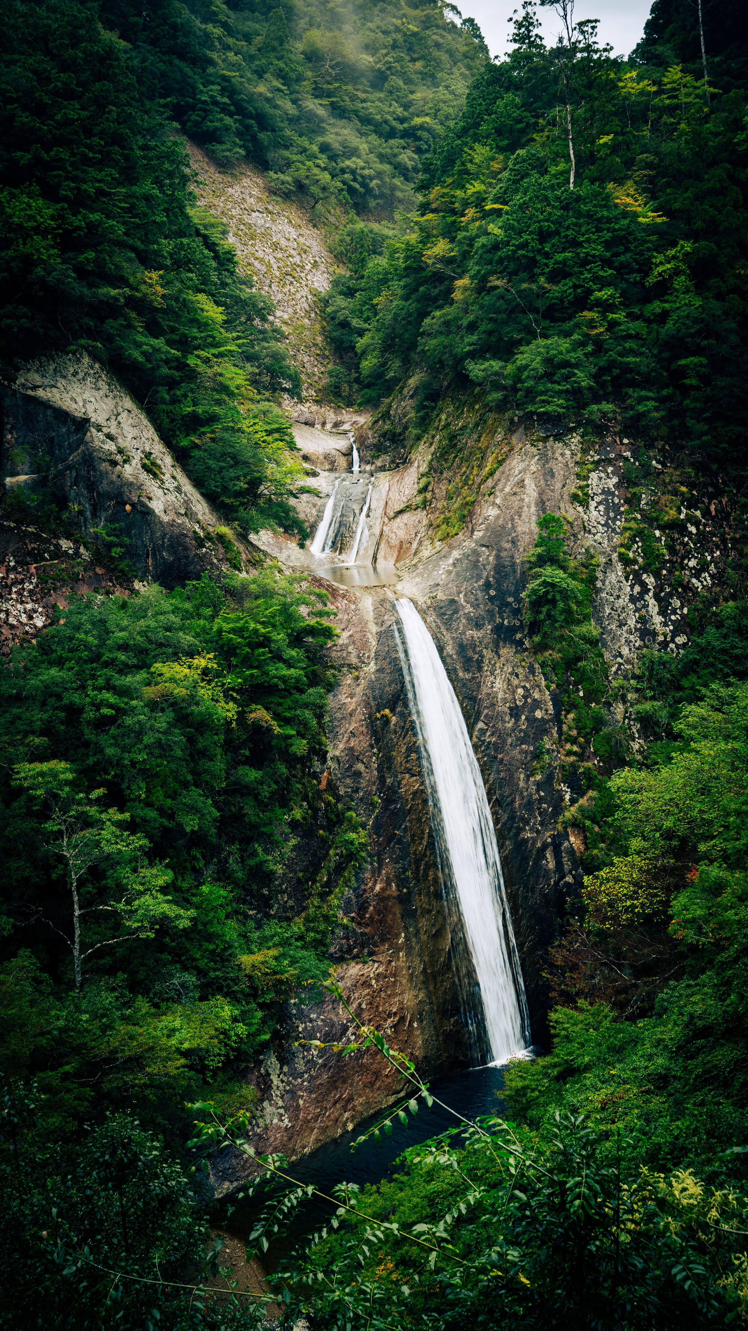 Japan25 (26).jpg