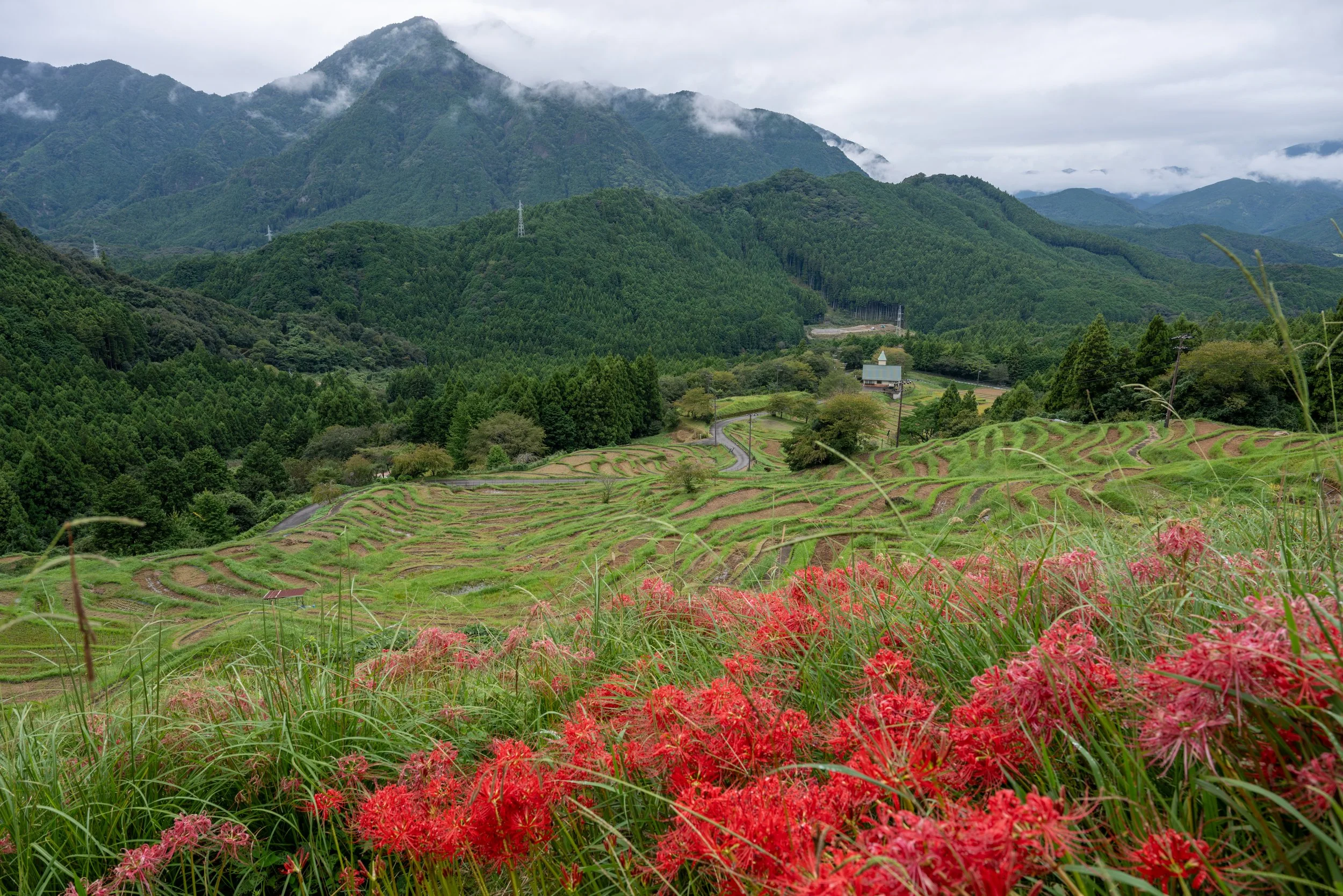 Japan25 (7).jpg