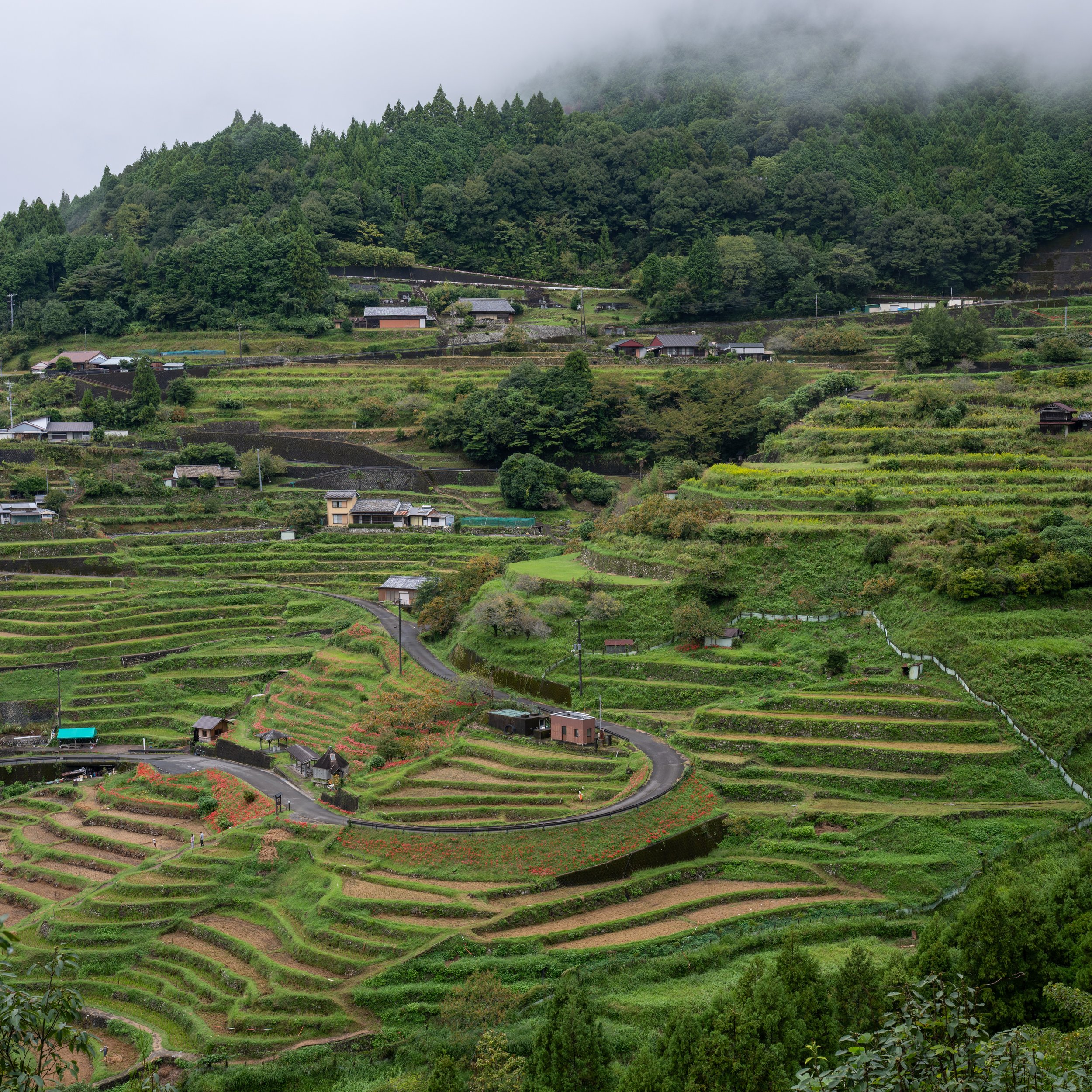 Japan25 (6).jpg