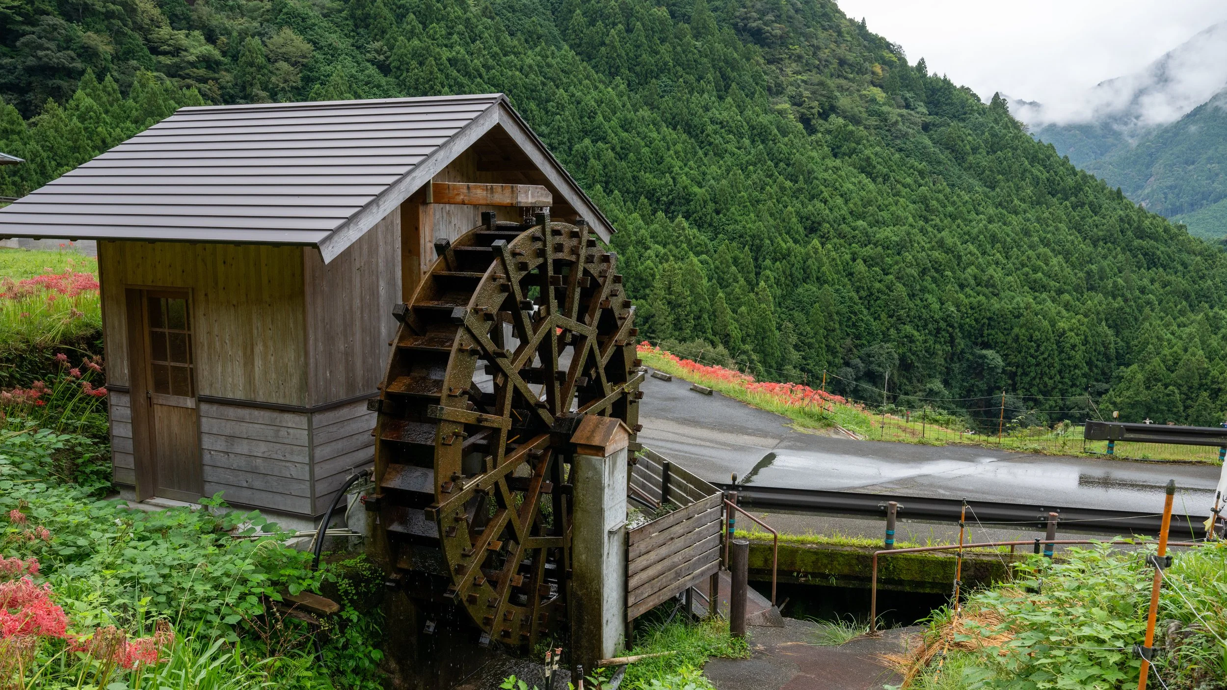 Japan25 (8).jpg