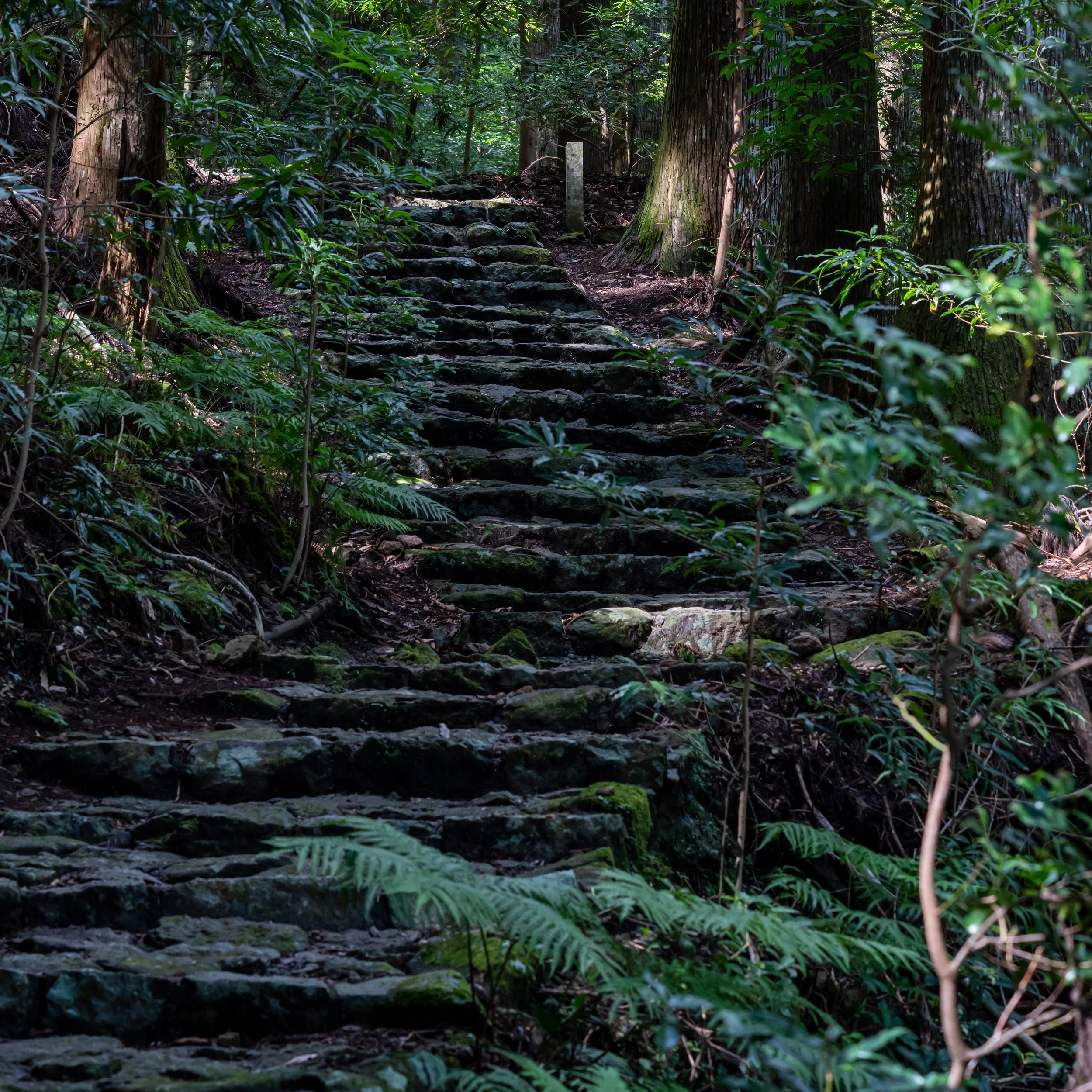 Japan25 (31).jpg