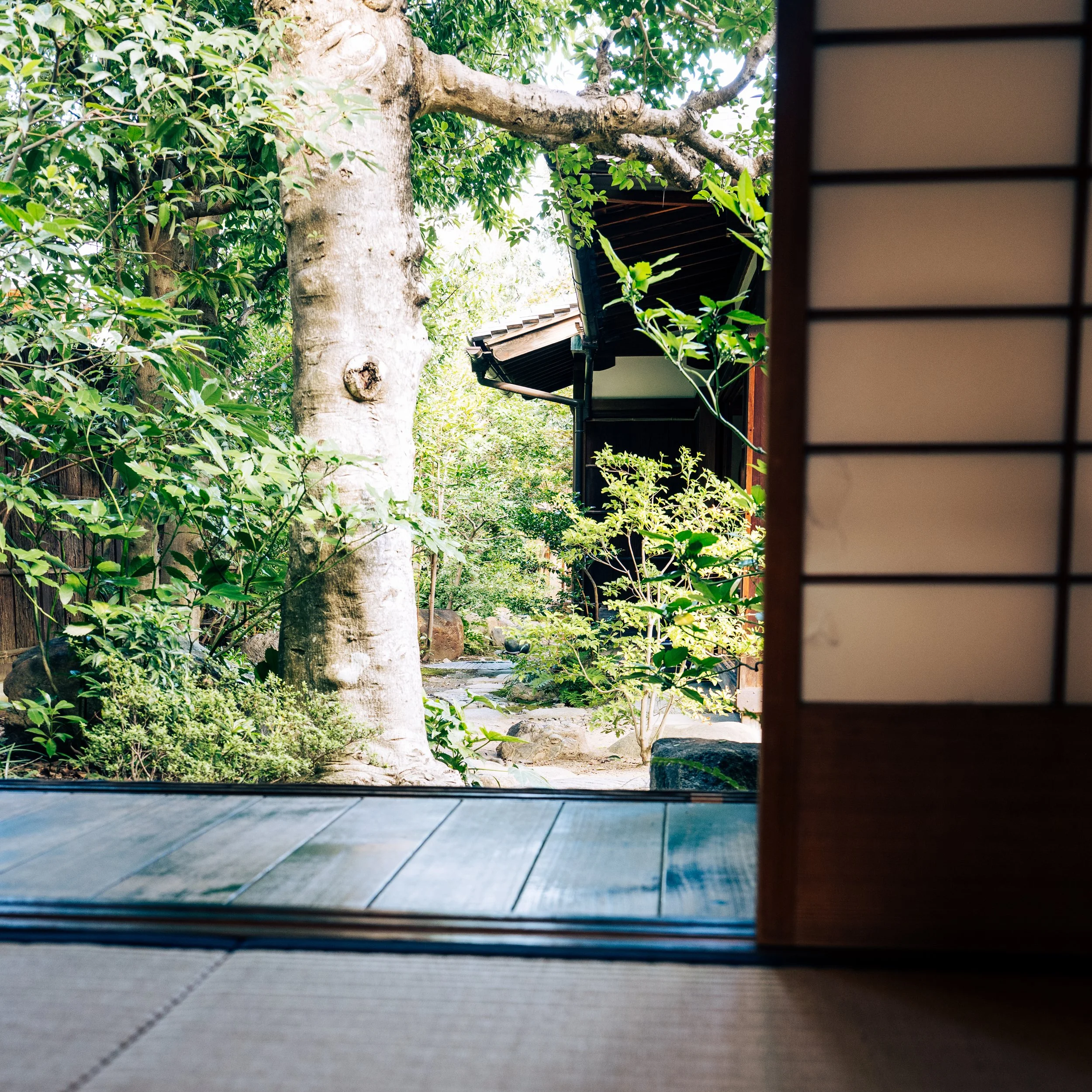 Japan25 (42).jpg
