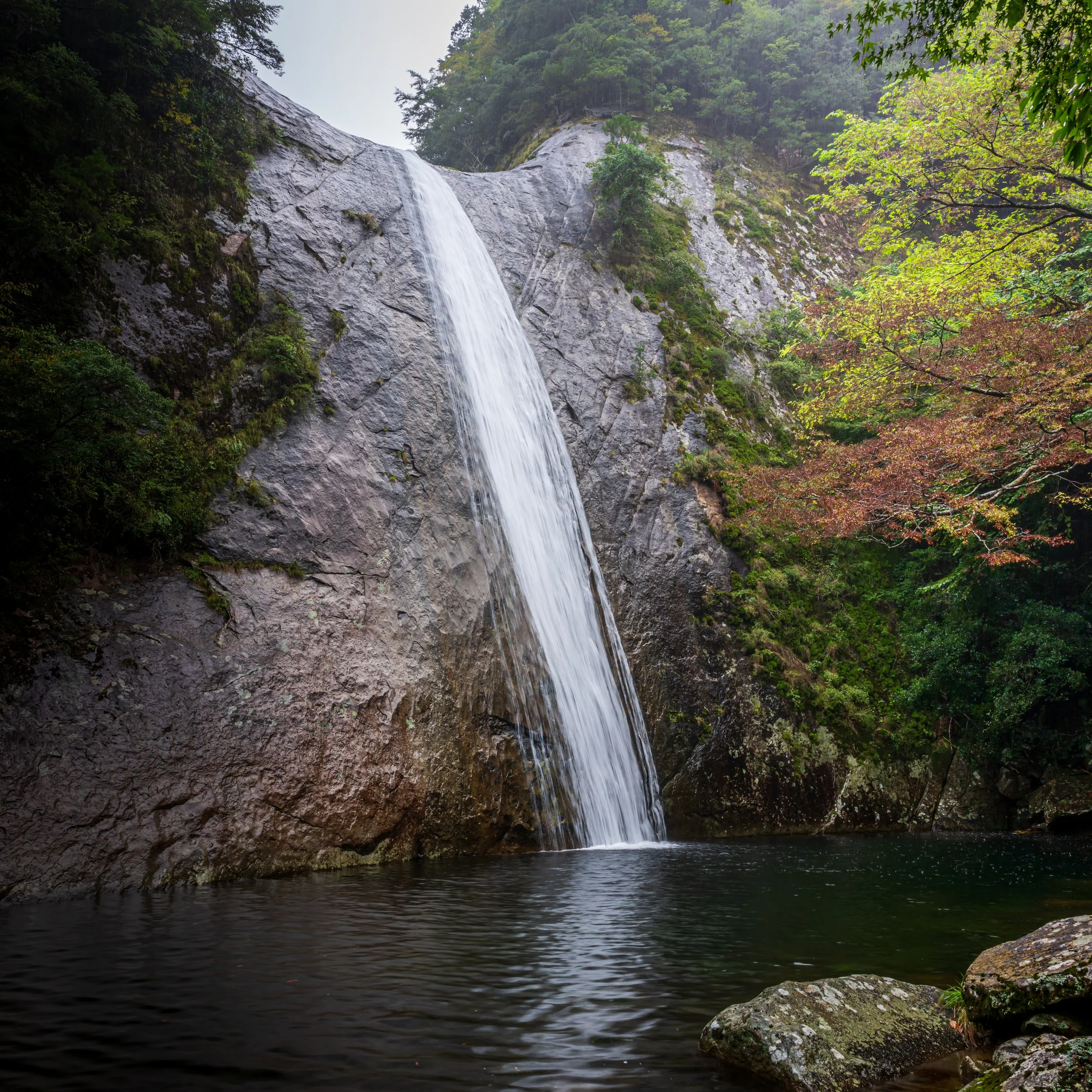 Japan25 (24).jpg