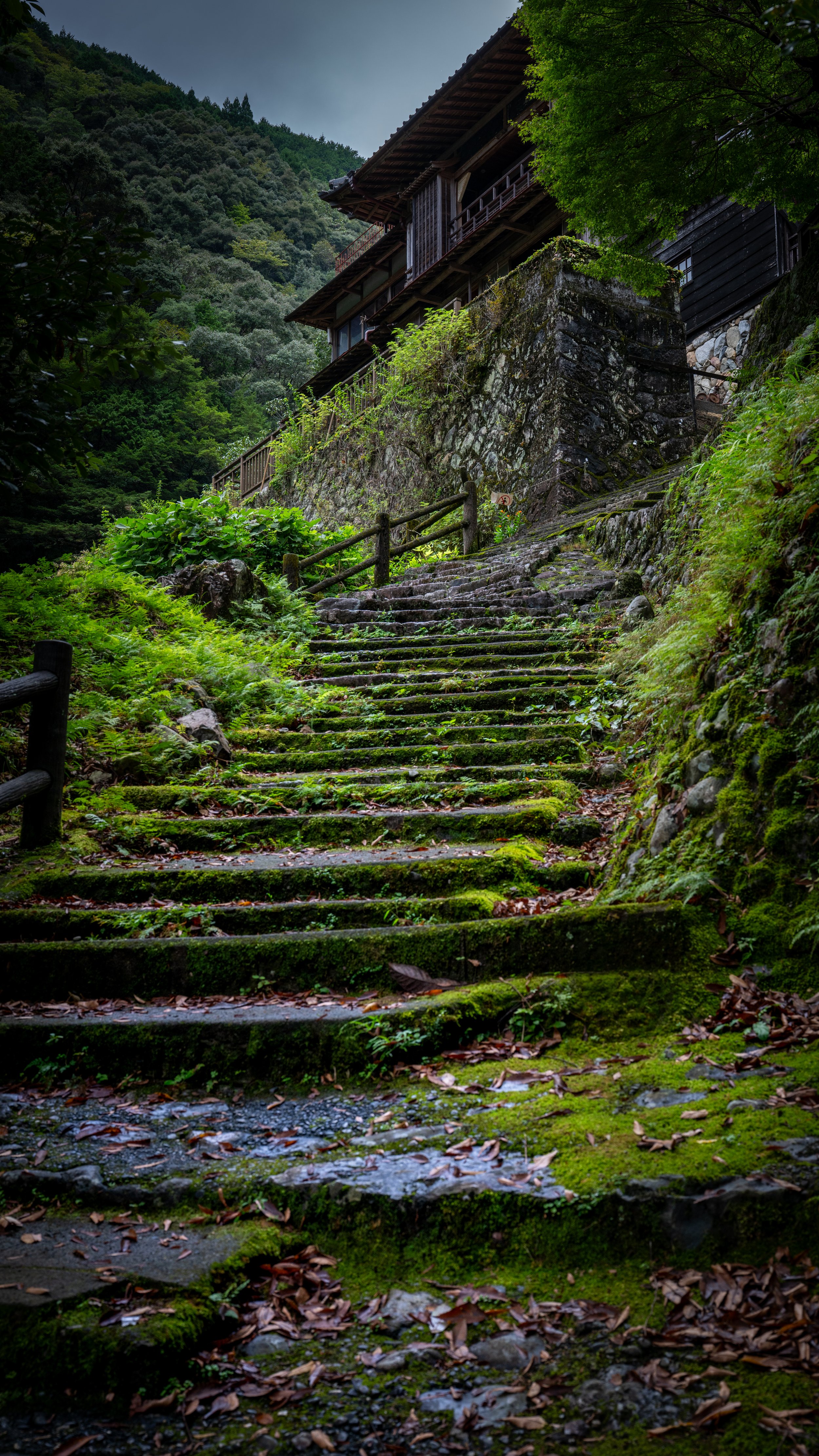 Japan25 (23).jpg
