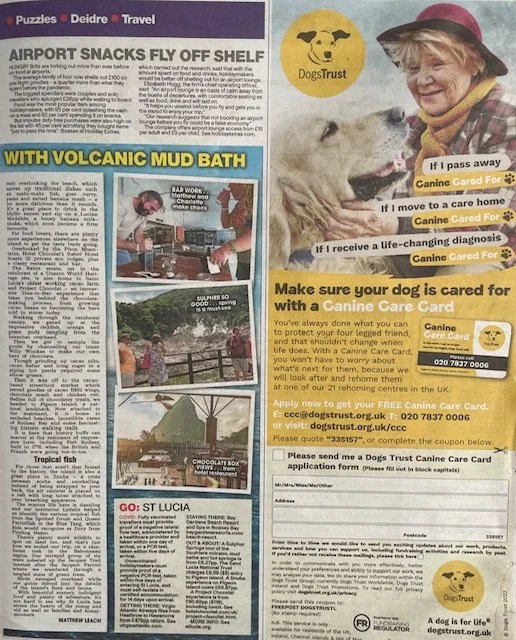 A dog with a person at a beach, a volcano mud bath, and a tropical fish in an article. A flyer about caring for dogs with a Canine Care Card, with checkboxes for different situations like passing away, moving, or receiving a diagnosis.