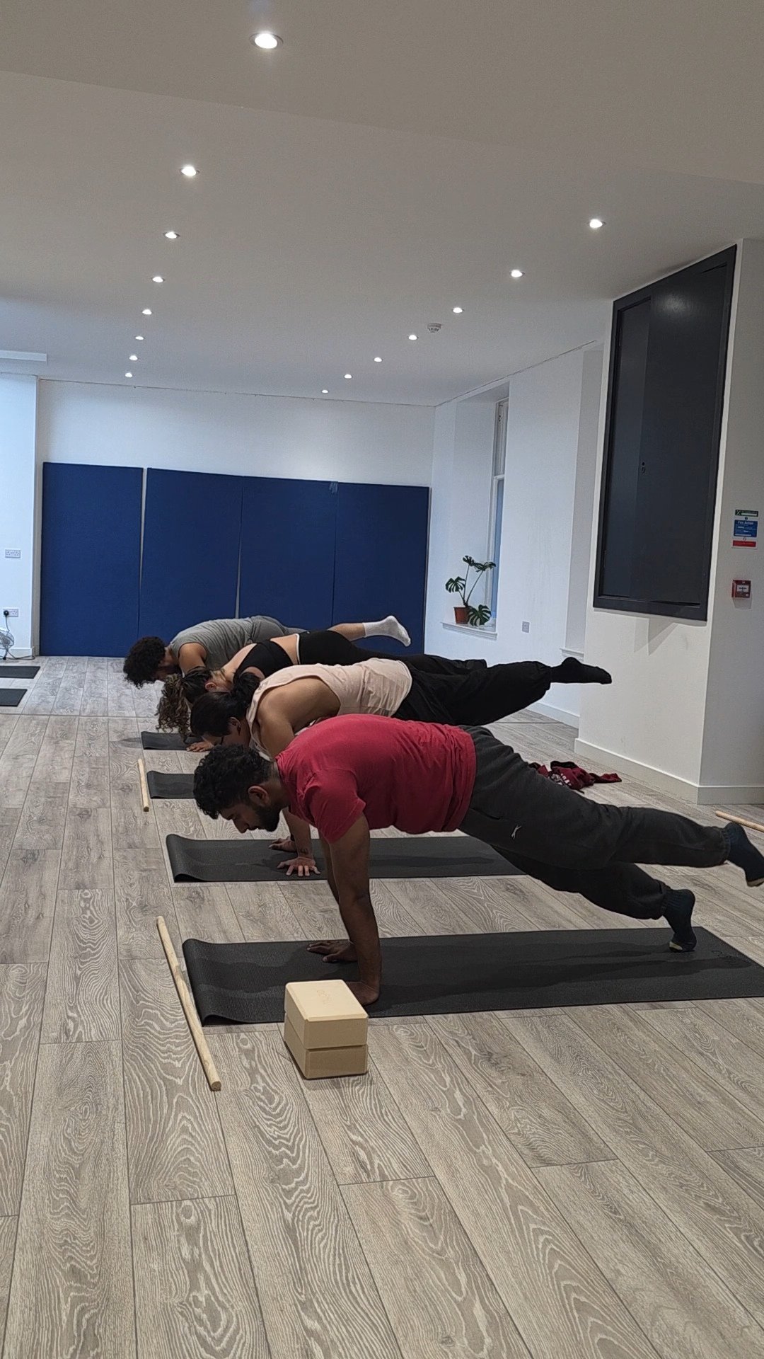 Four people practicing yoga in a studio, in a plank position with hands on mats and feet raised, facing downward.