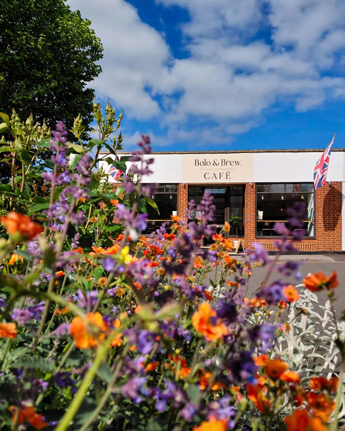 Summer flowers outside Bolo & Brew café in Horsley, Surrey