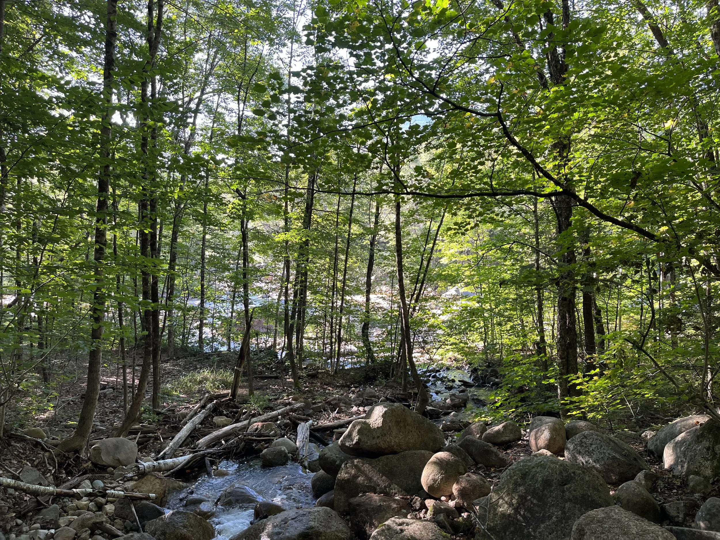 Interview Preparation