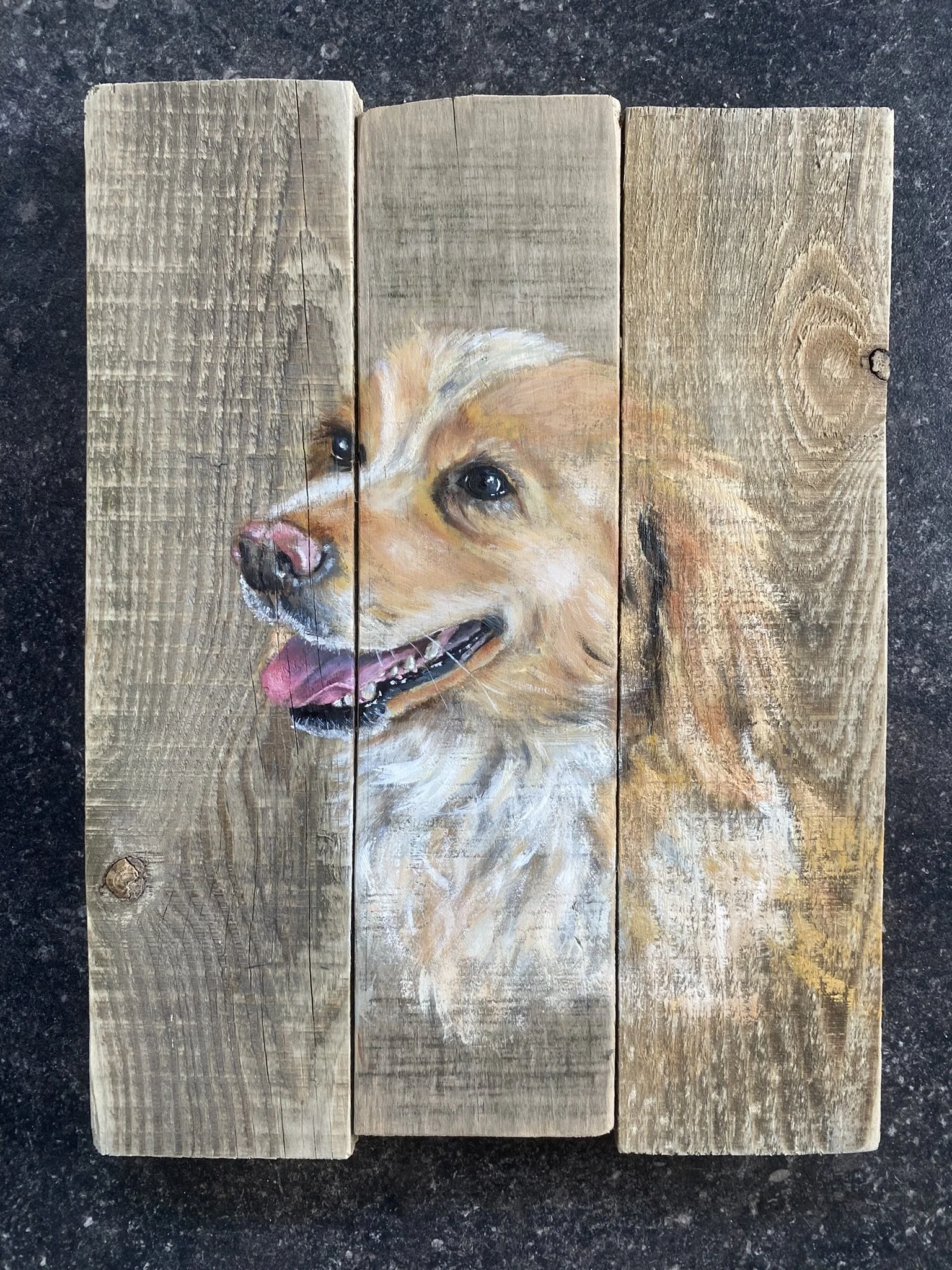 Acryl op hout, 28 x 37 cm, verkocht