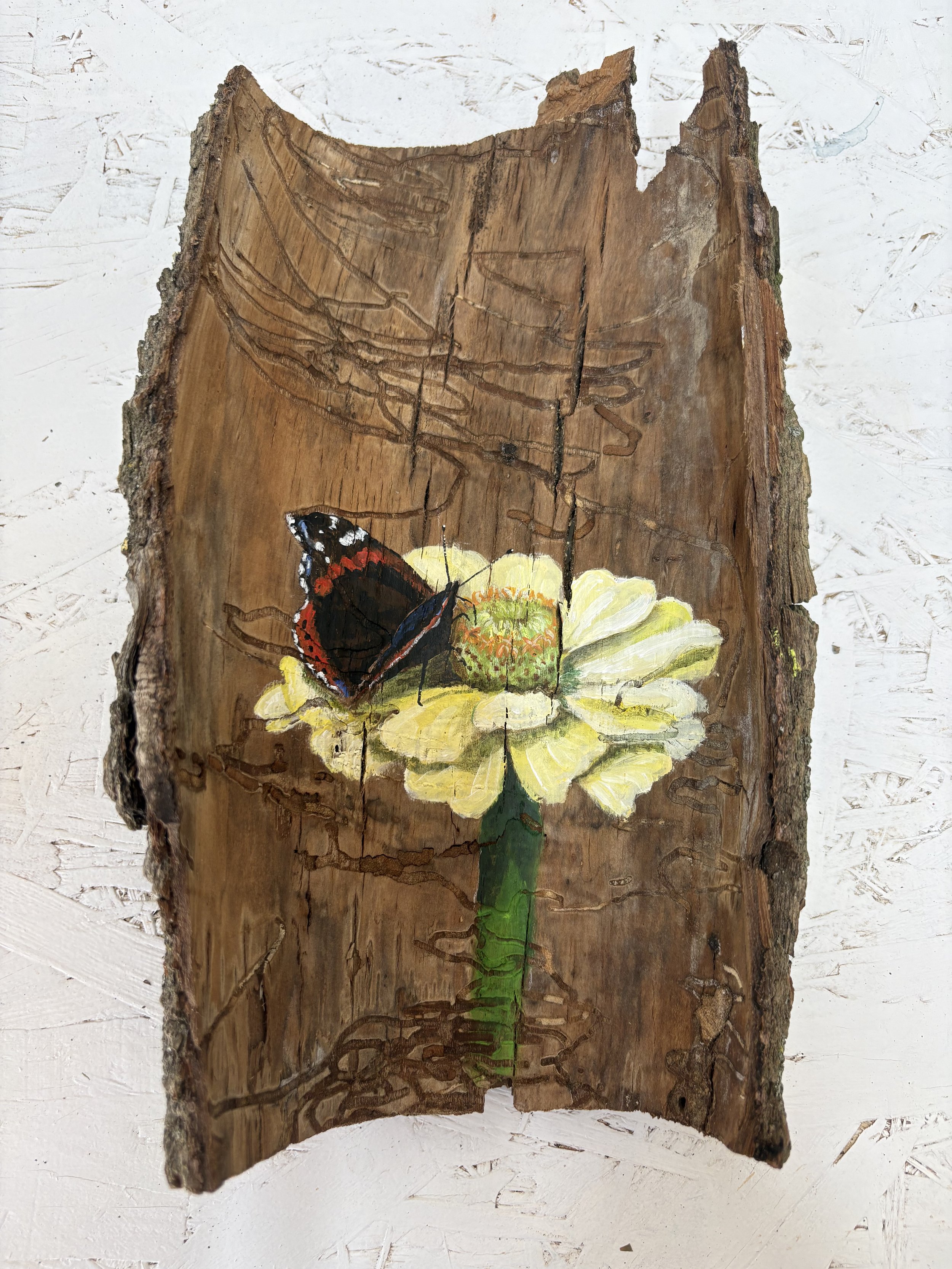 Acryl op boomschors, 18 x 29 cm - verkocht