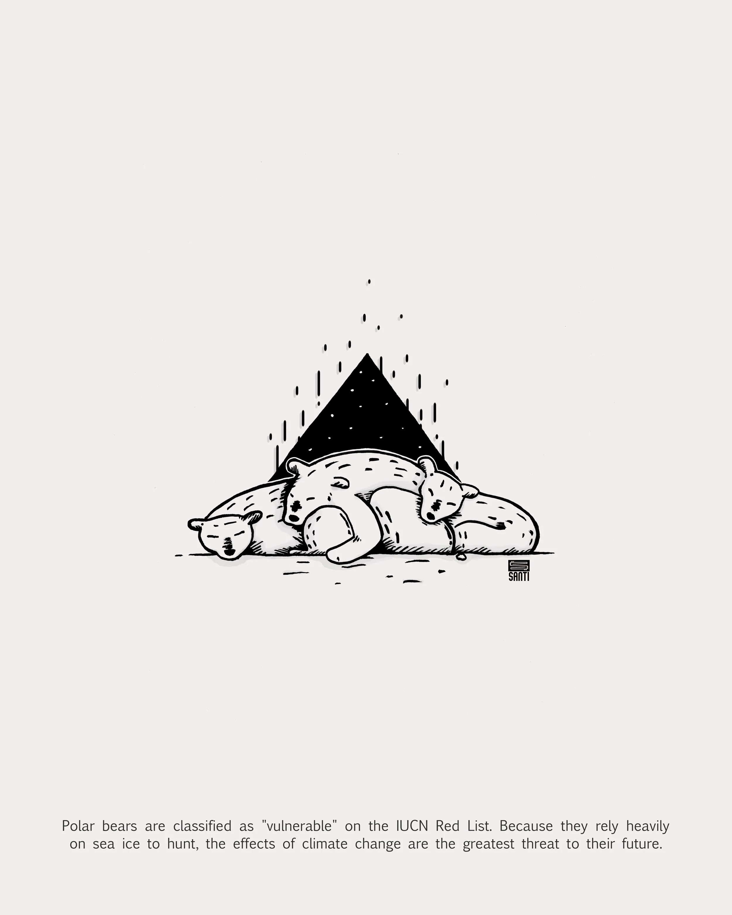 Polar Bears - Art Print