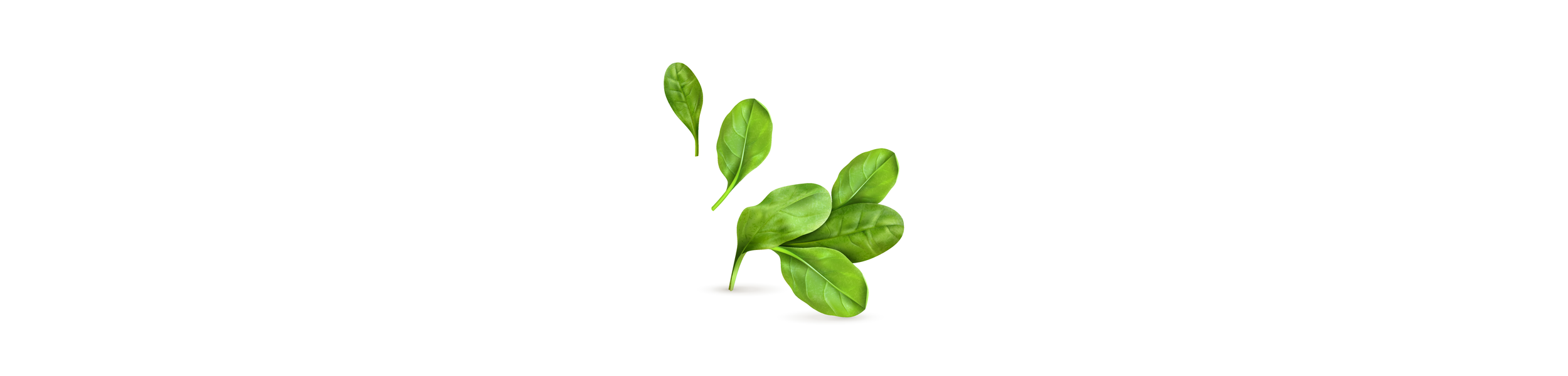 Four fresh spinach leaves on a white background.