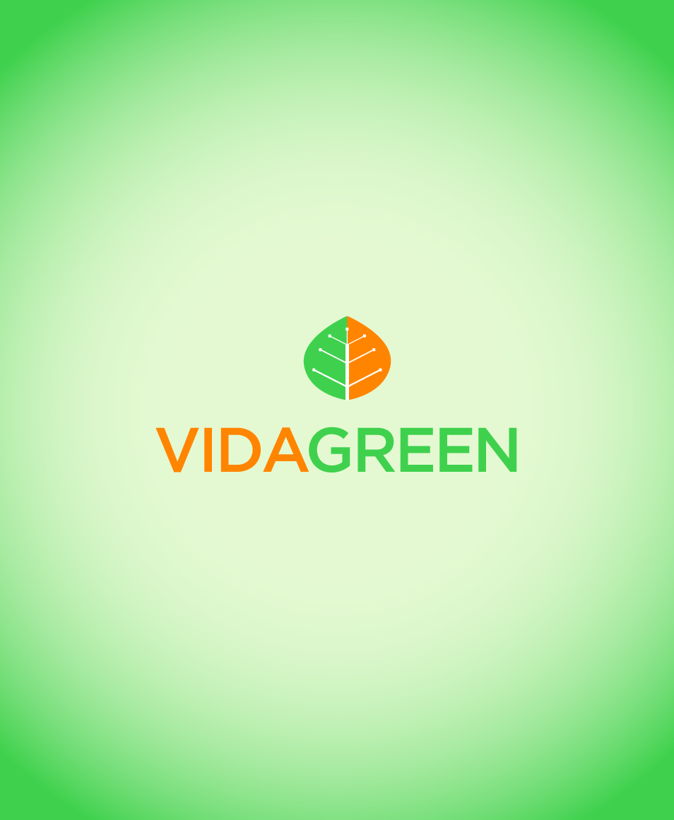 Logo with a green and orange leaf-shaped icon above the words 'VIDA GREEN' in orange and green text on a light green gradient background.
