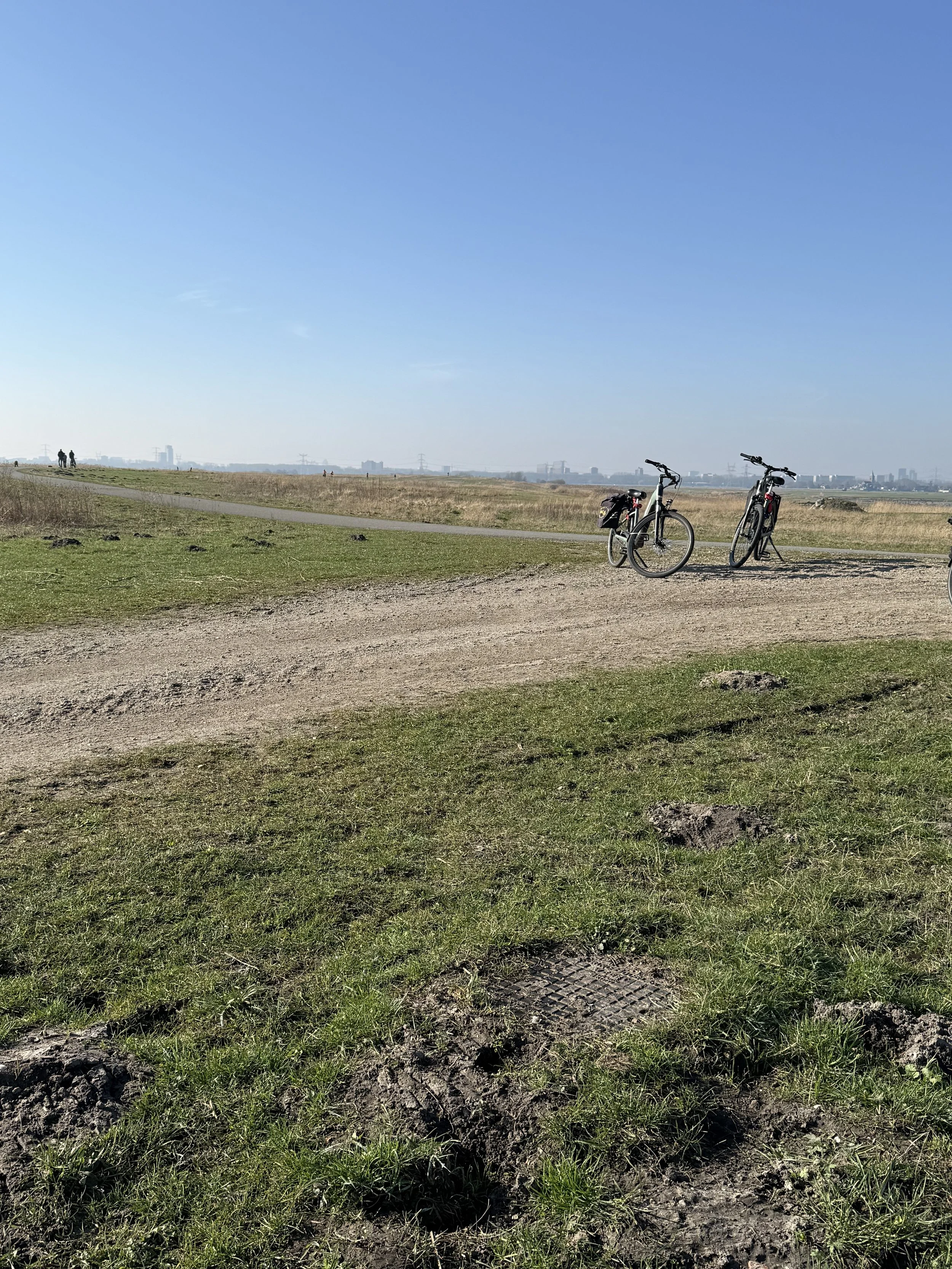 Cruising through Holland