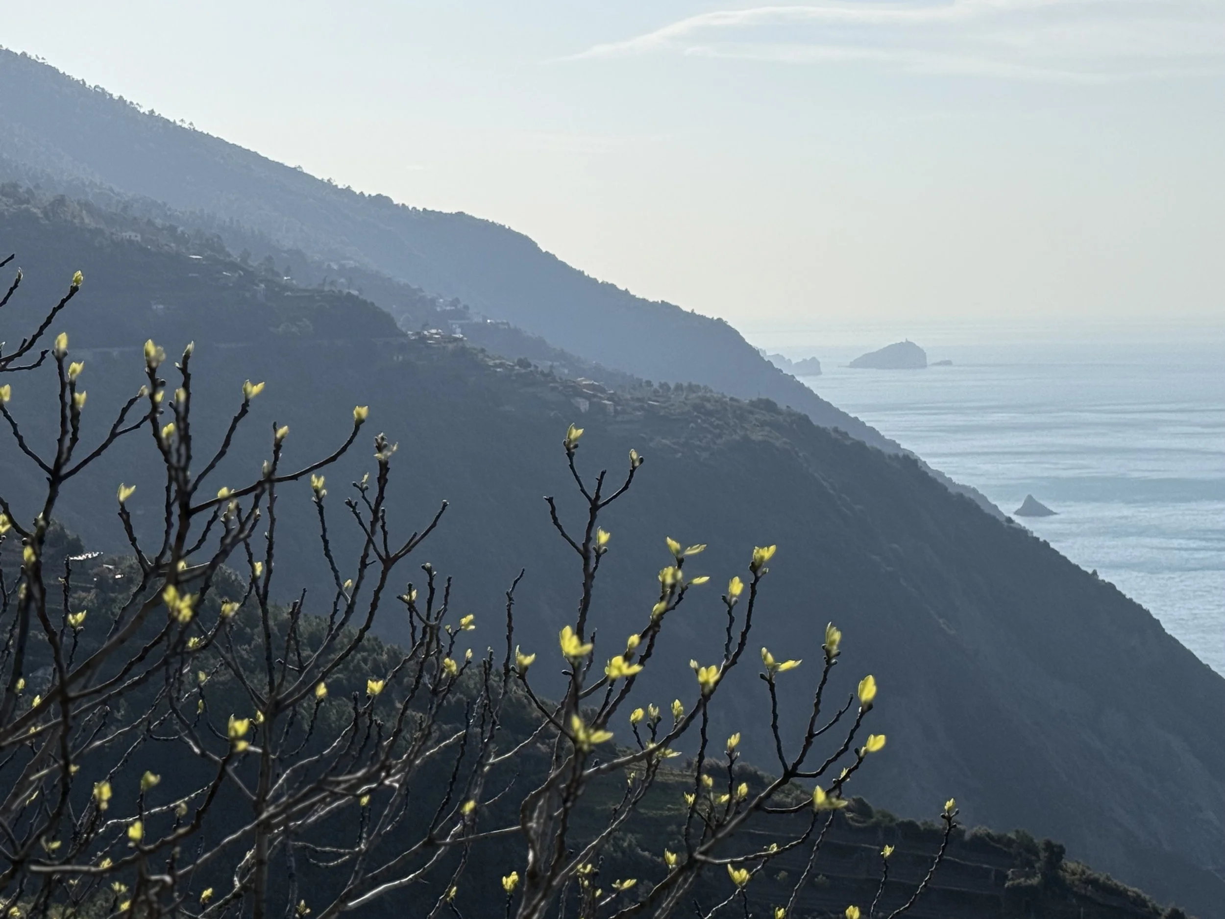 On a hillside in Riomaggiore